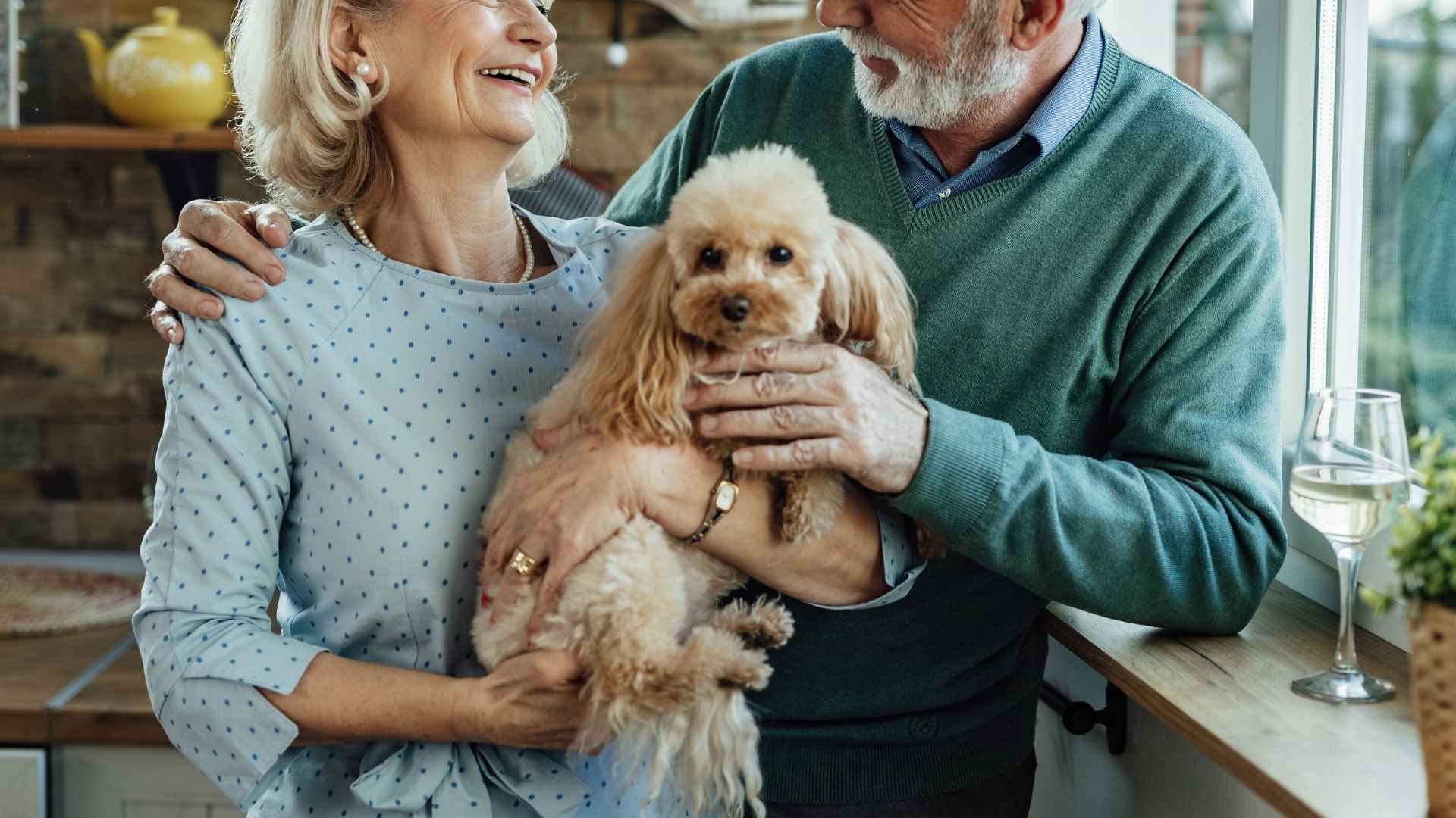 7 Popular Dog Breeds For Baby Boomers That Will Bring Joy To Your Home