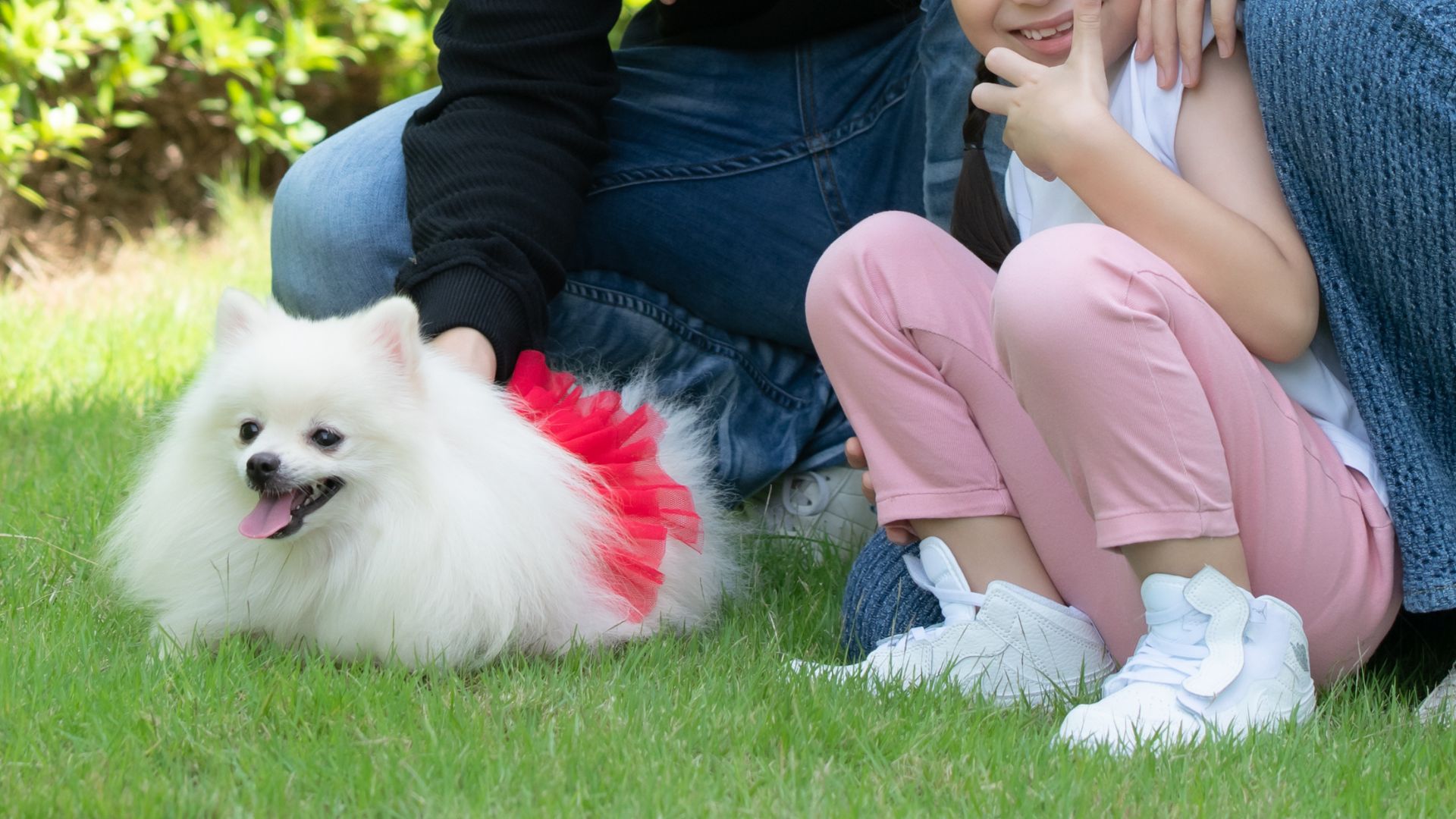 7 Popular Loyal Dog Breeds Trusted By Families