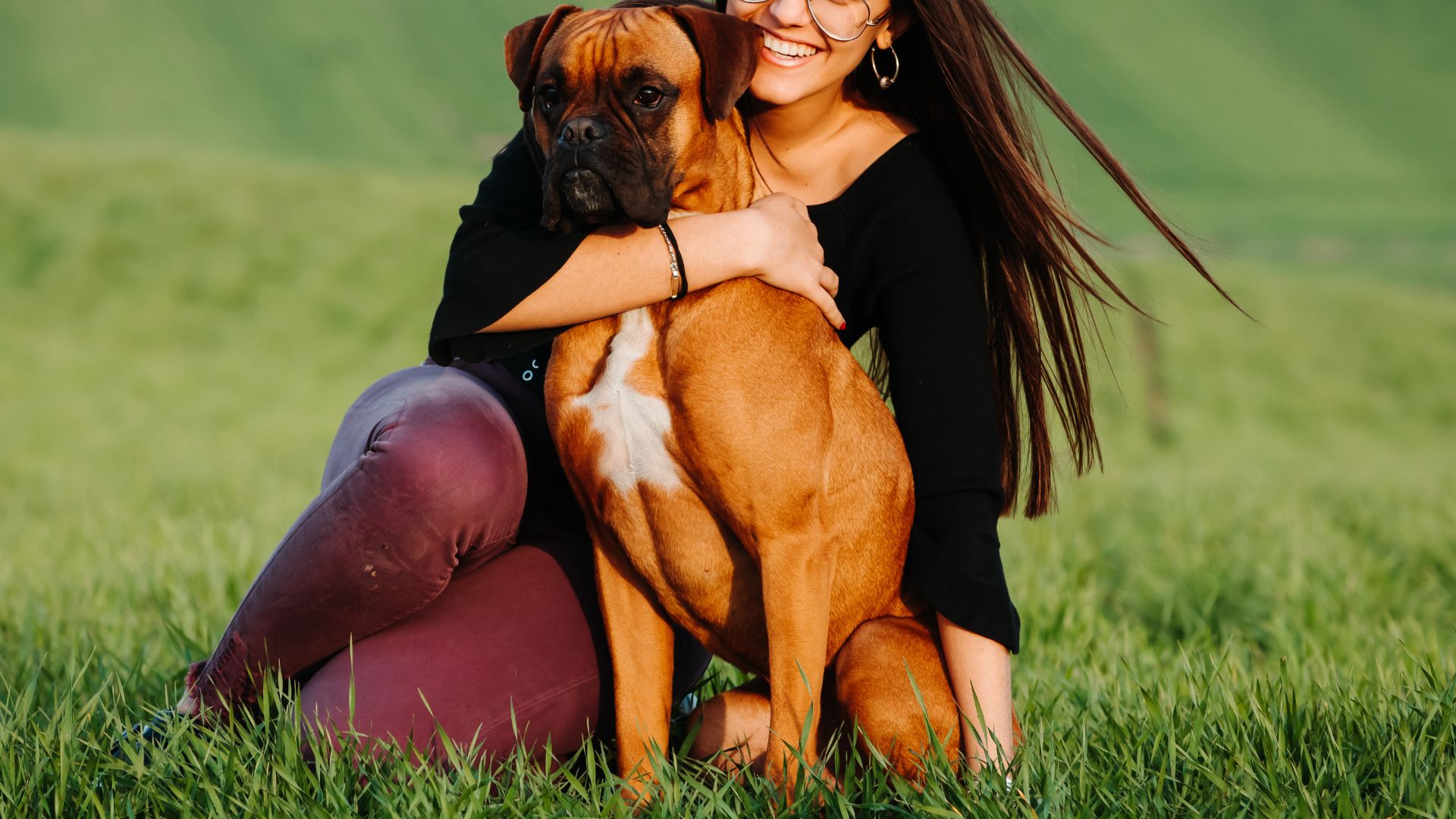7 Protection Dog Breeds For Female Living With Pride