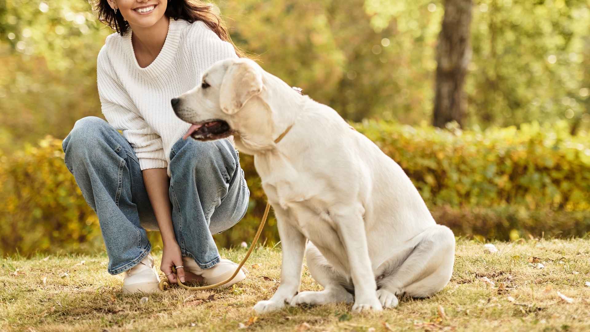 7 Reliable Obedient Rescue Dog Breeds