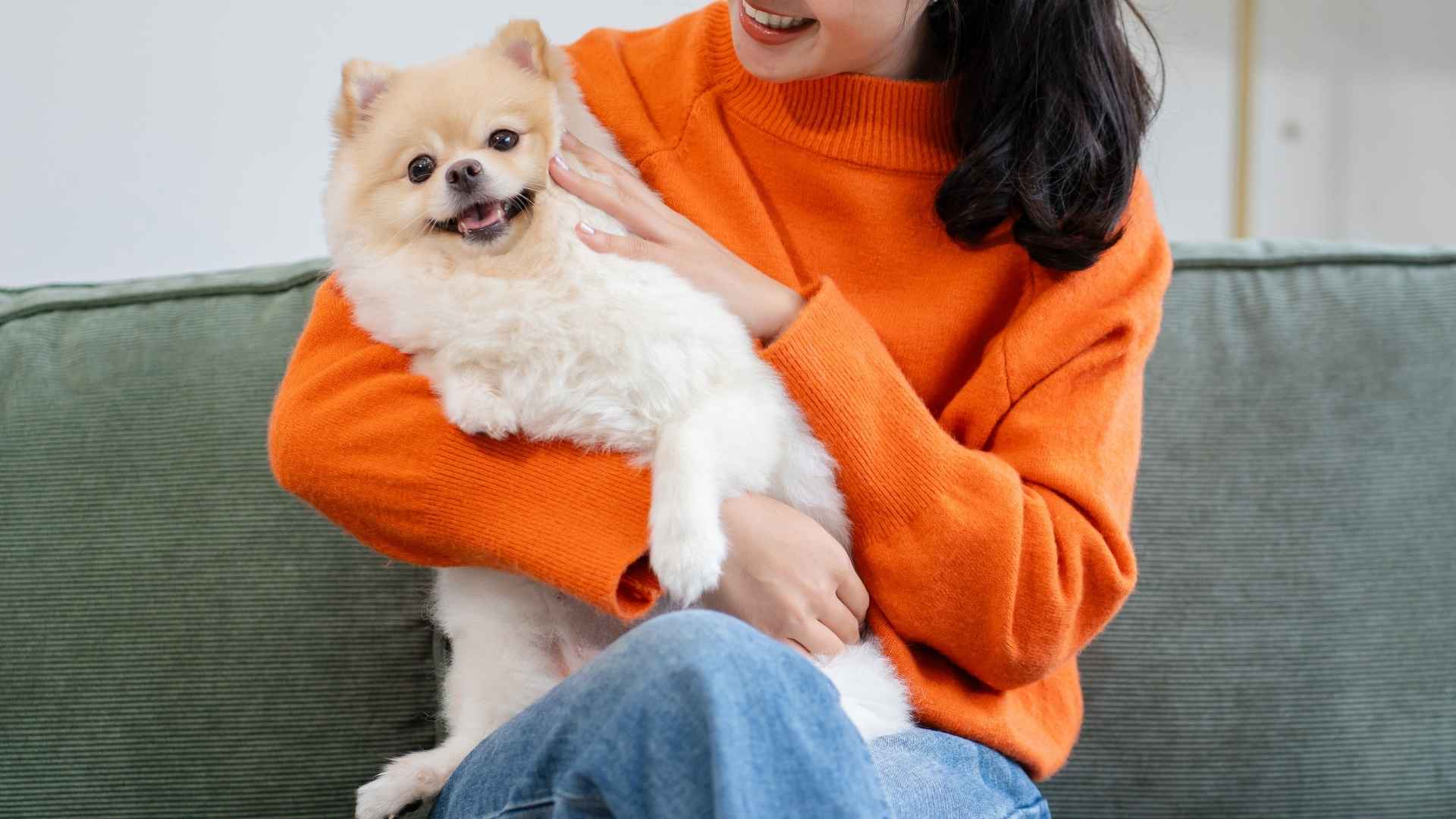 7 Small But Mighty Dog Breeds That Prove Love Knows No Size
