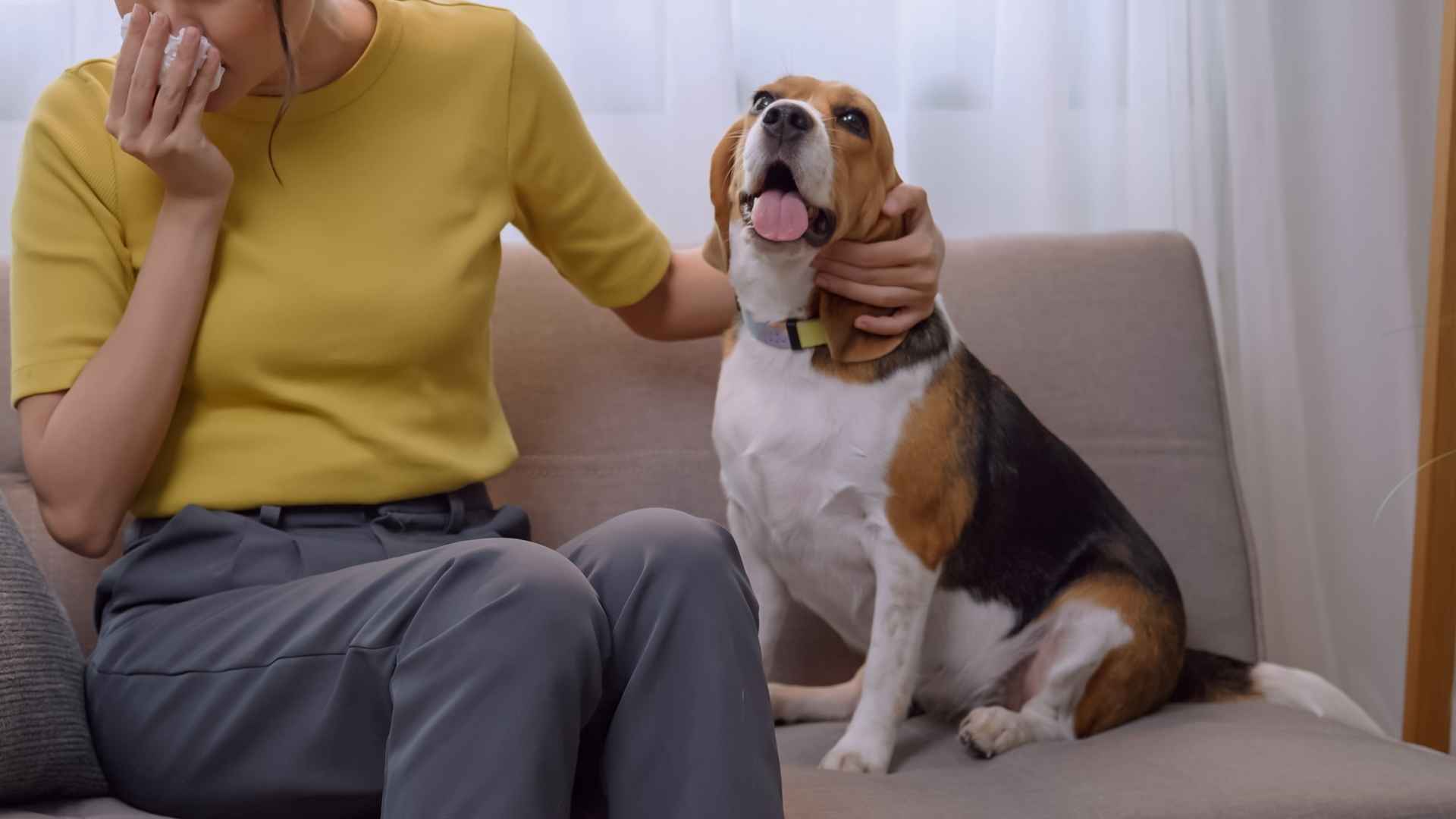 8 Best Dog Breeds to Avoid If You Want To Stay Healthy