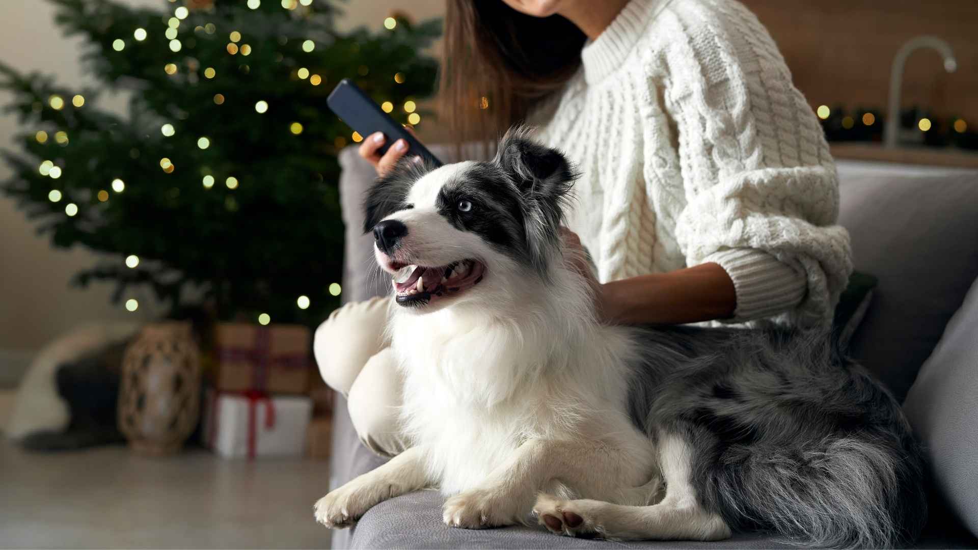 8 Dog Breeds Known For Indestructible Friendship