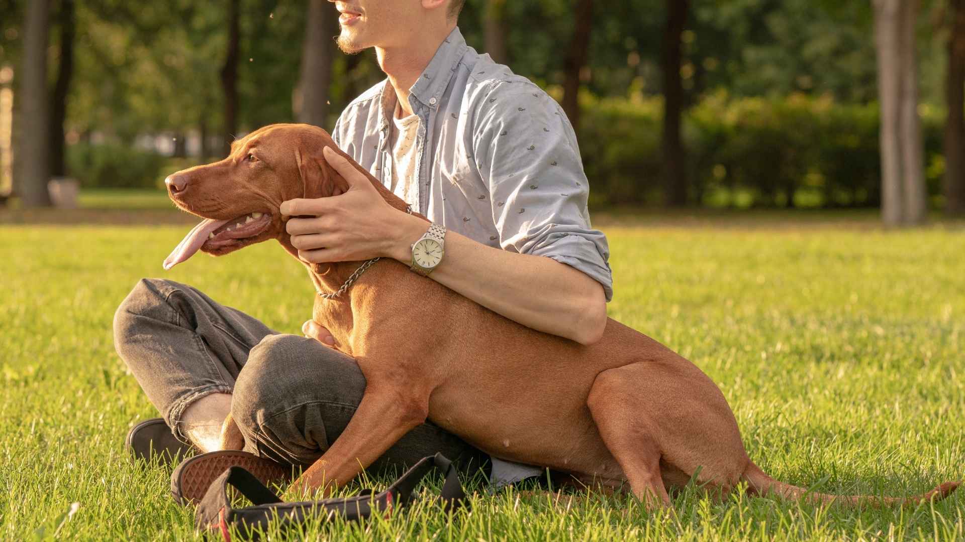 8 Dog Breeds That Stick Closer Than Shadow To Owner