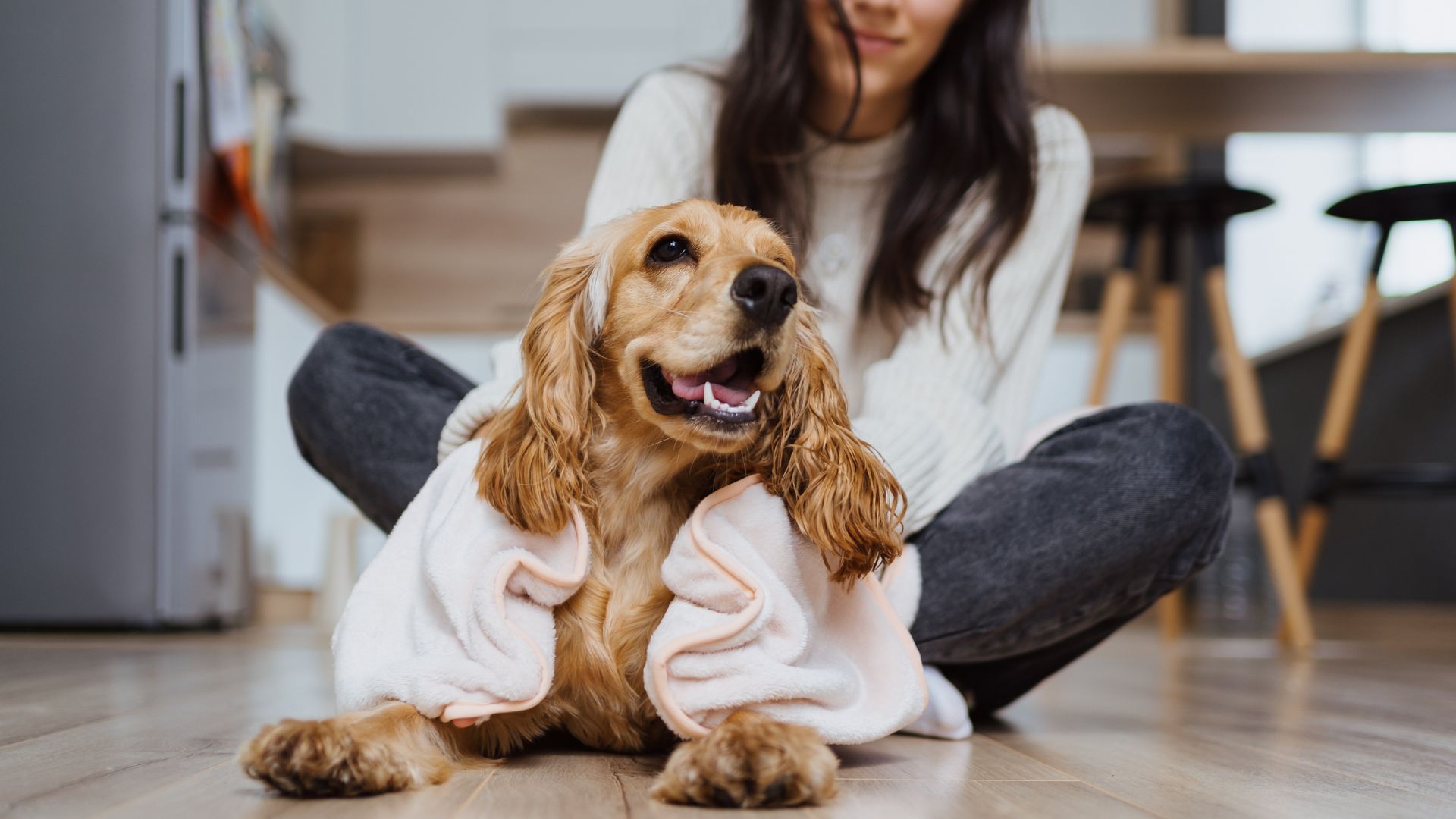 8 Happiest Dog Breeds You Don't Want To Miss Out On