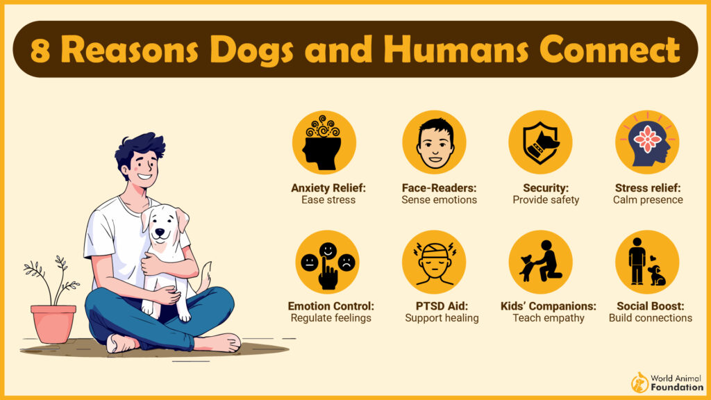 8 Reasons Dogs and Humans Connect-01