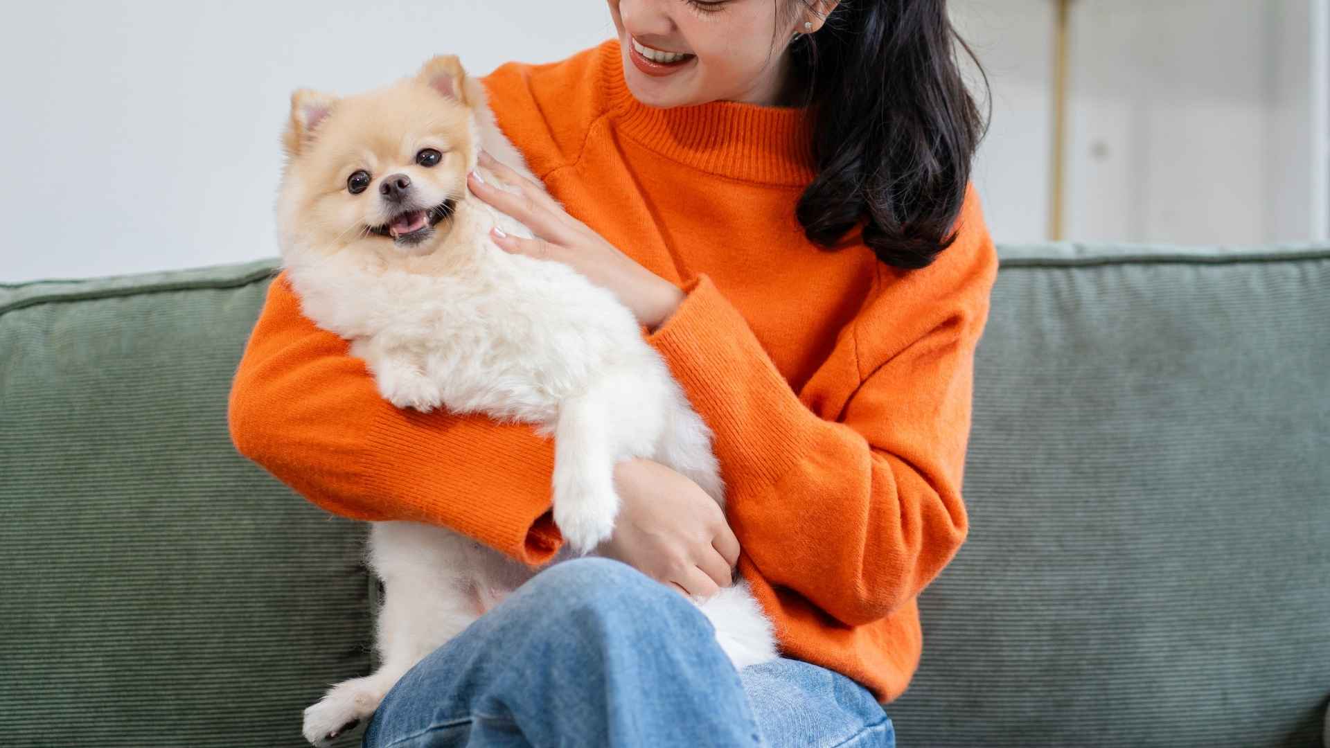9 Best Dog Breeds That Are Master Snugglers In Disguise
