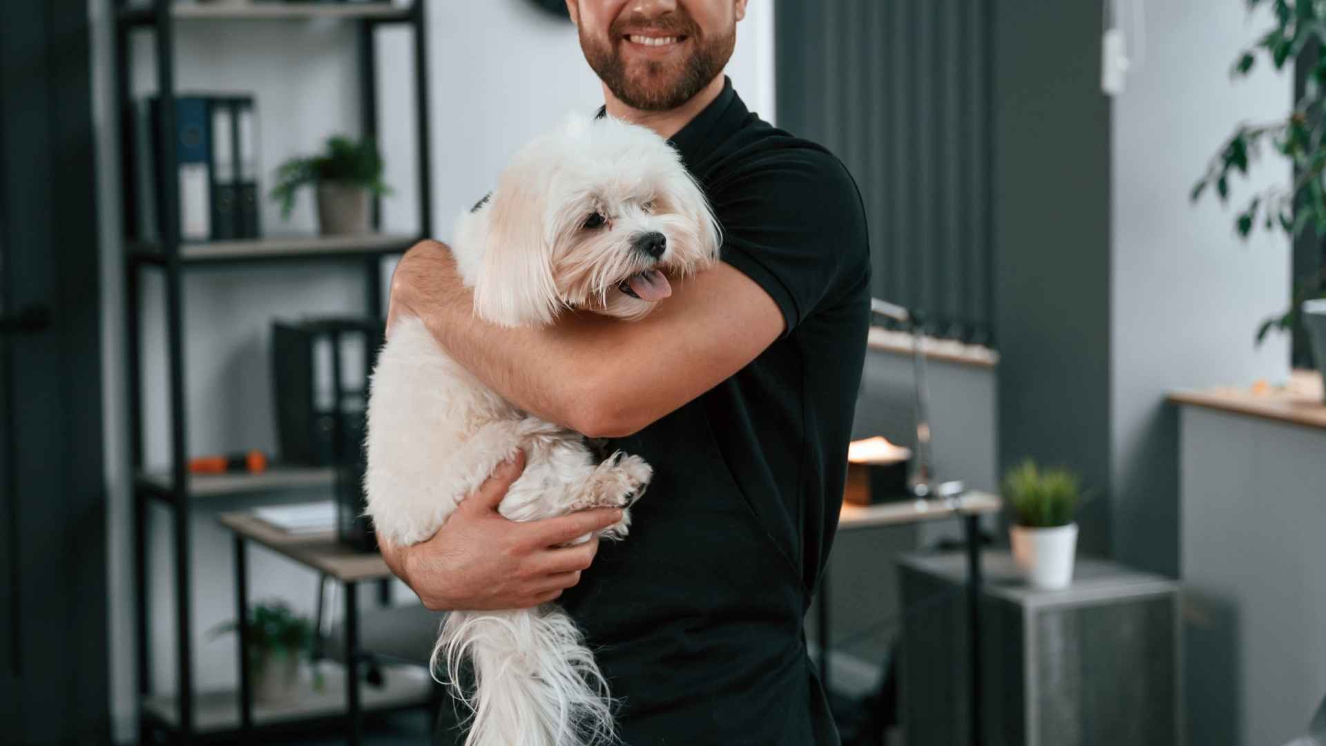 9 Best Teacup Dog Breeds That Bring Joy And Companionship