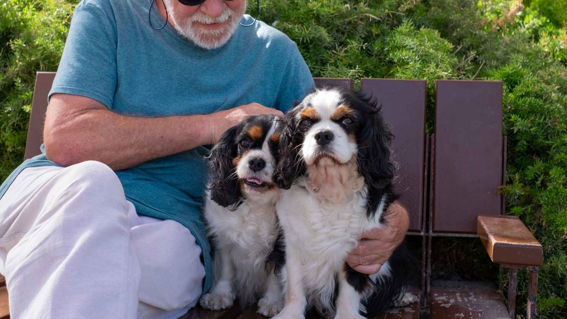 9 Calm Dog Breeds That Are Ideal For Seniors