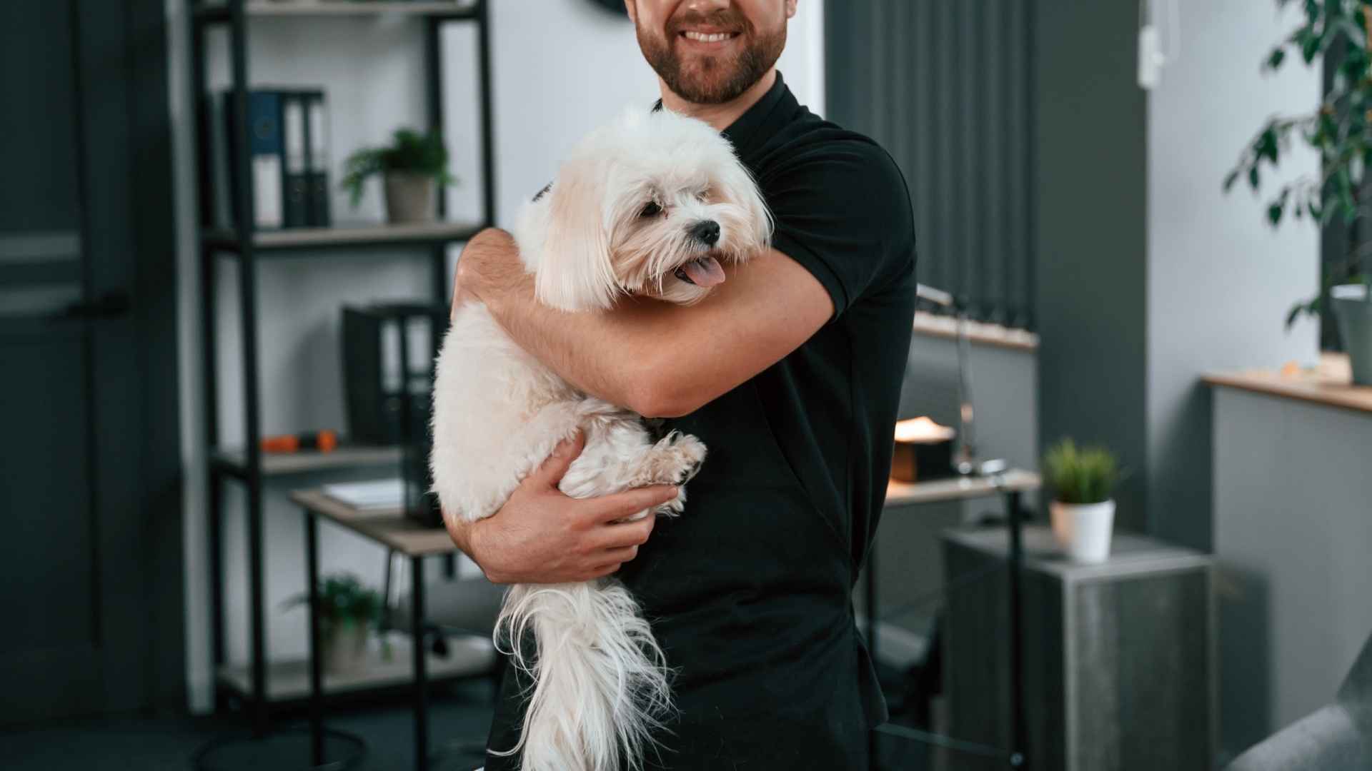 9 Dog Breeds So Eager They'll Win You Over Instantly