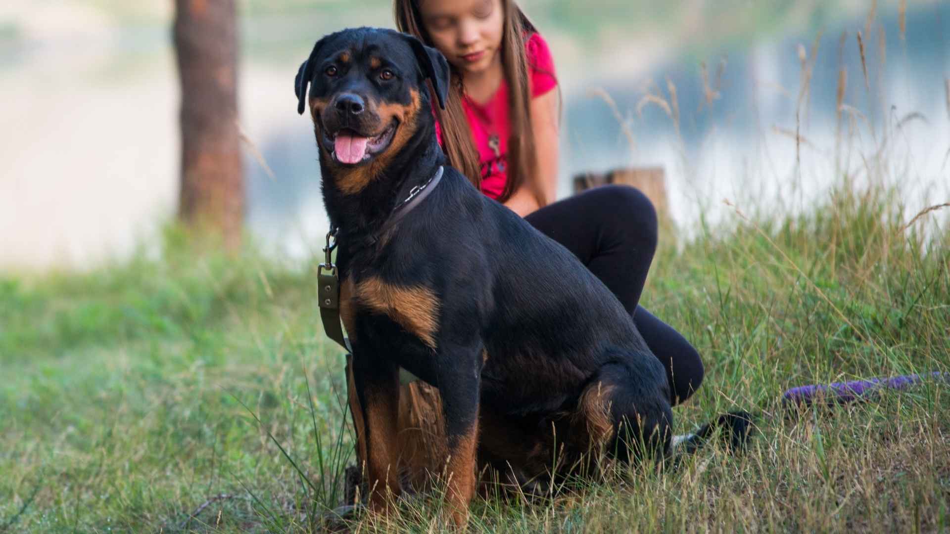 9 Dog Breeds That Guard Kids While Playing In Yards