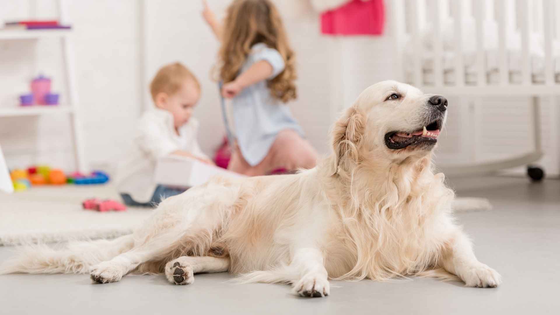 9 Dog Breeds That Know How To Care For Children