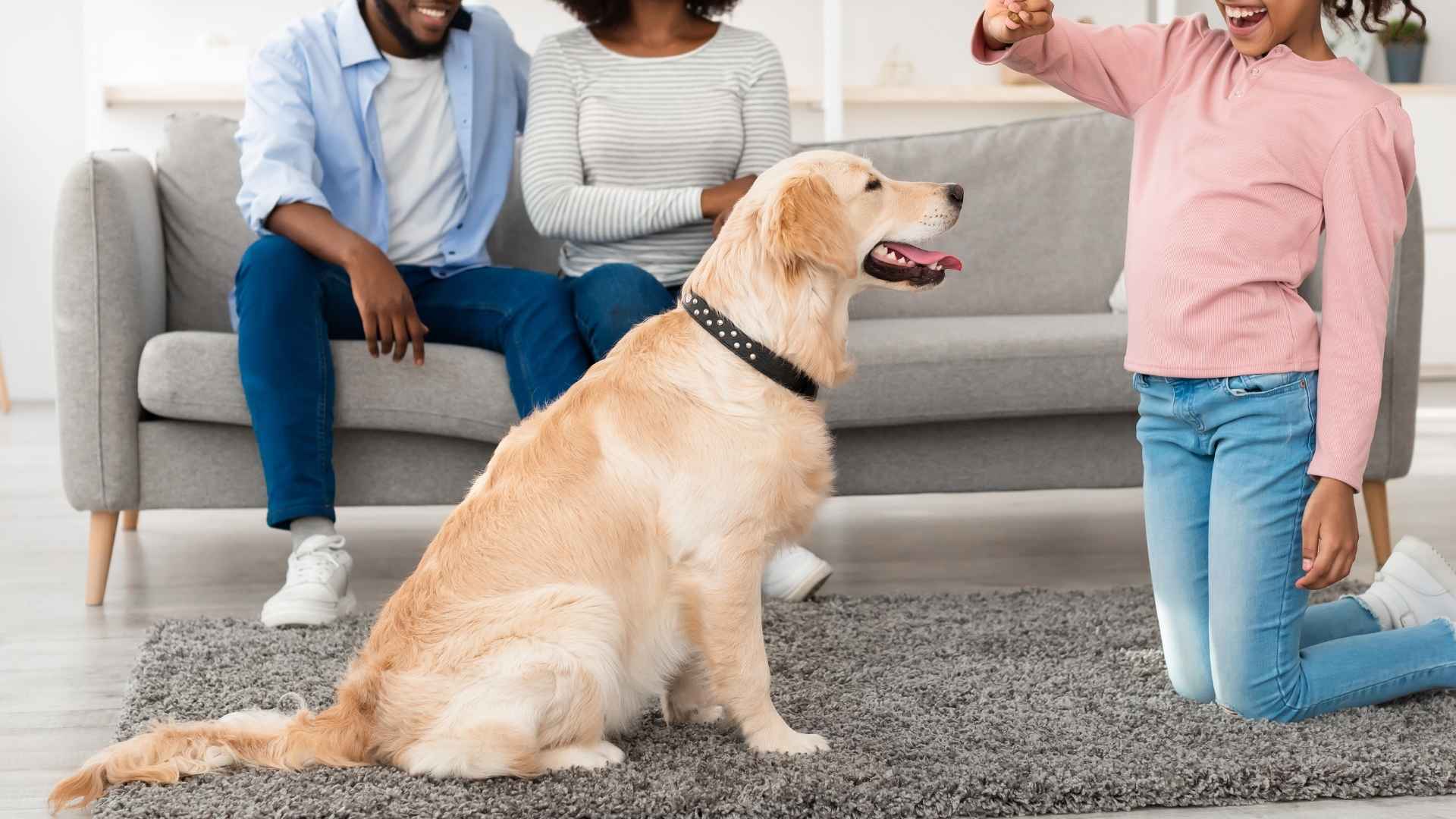 9 Dog Breeds That Love As If They’re Already Family