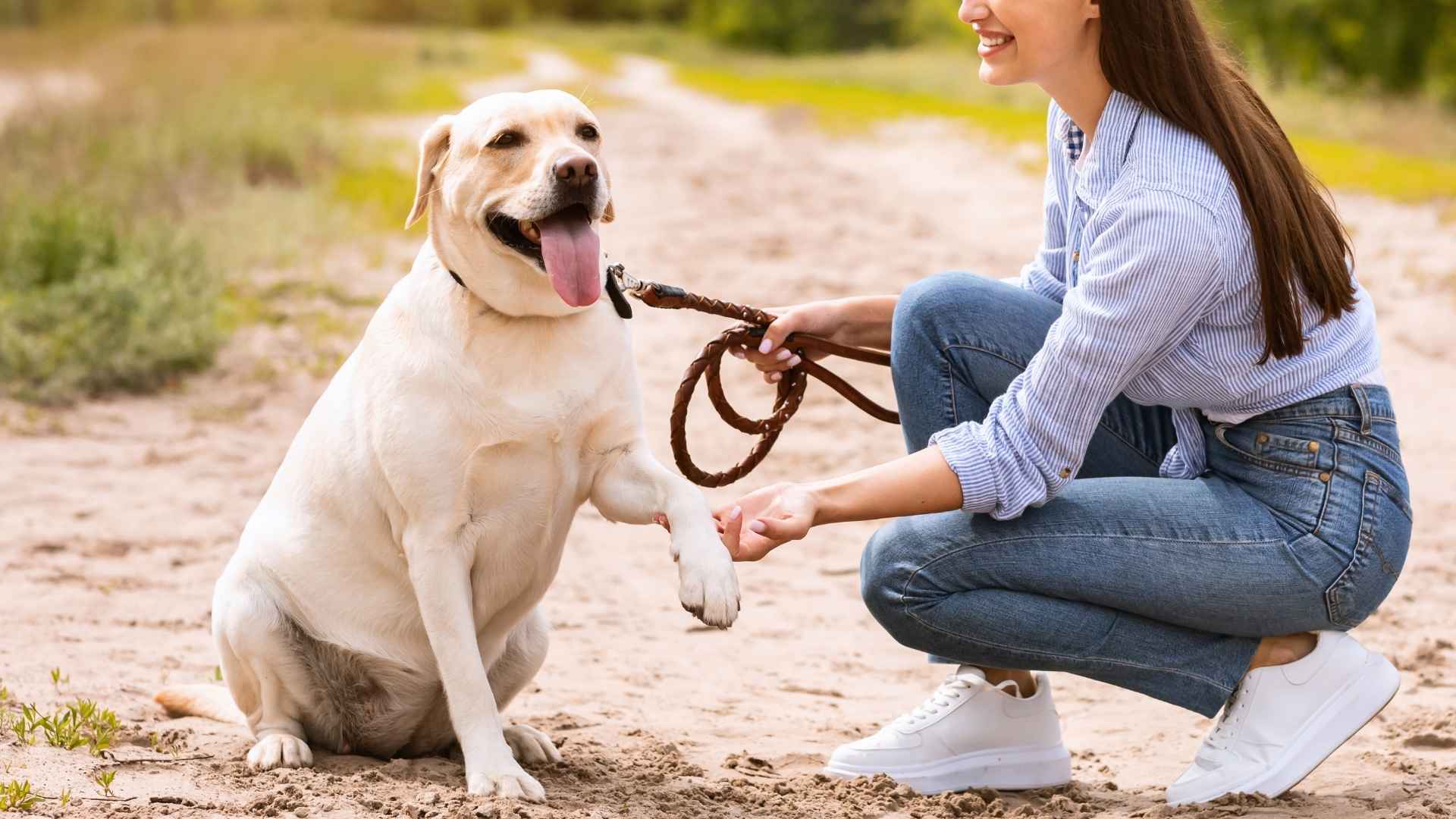 9 Dog Breeds that Wear Loyalty Like A Cap