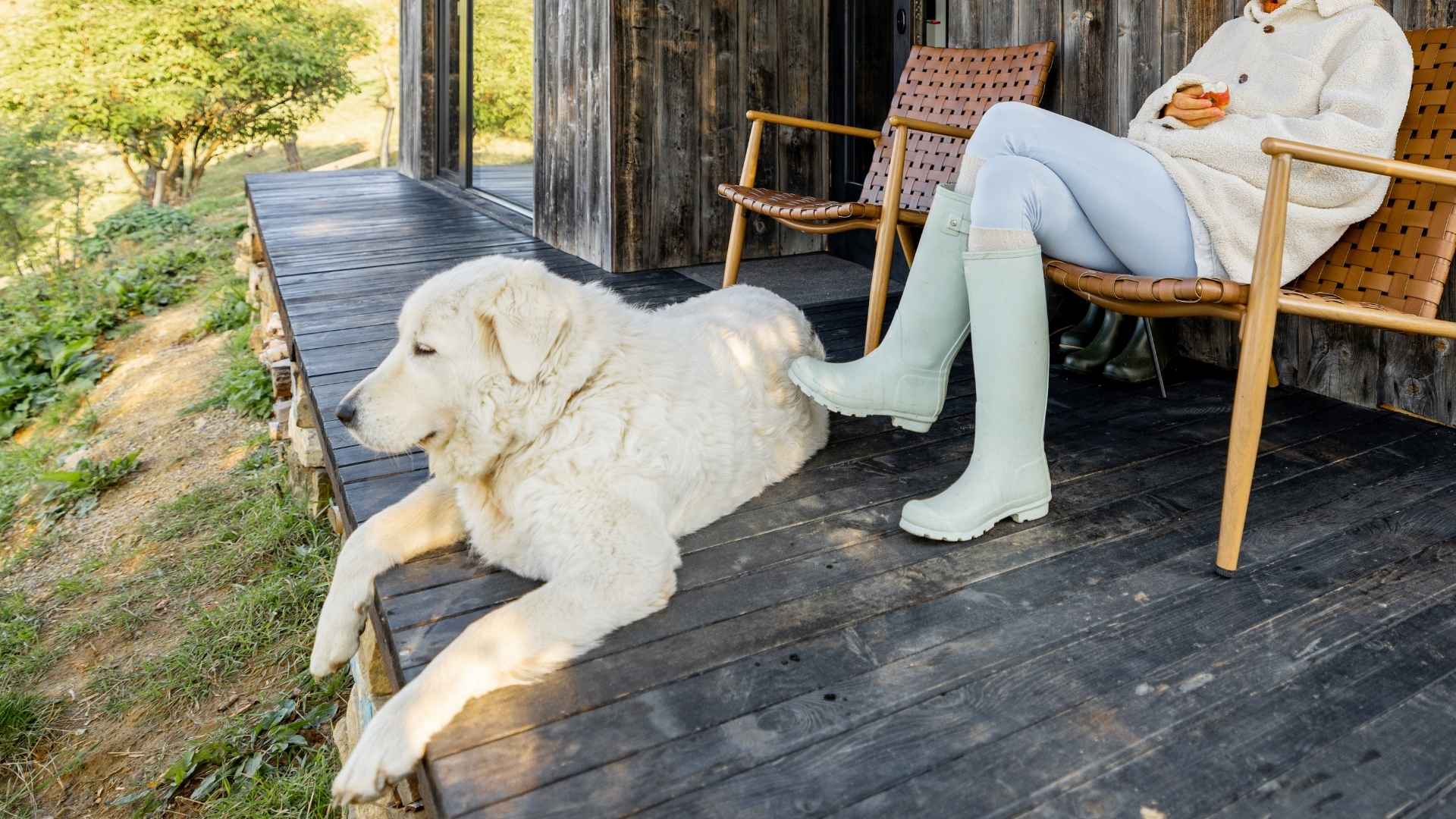 9 Guard Dog Breeds Perfect For Isolated Farmhouses
