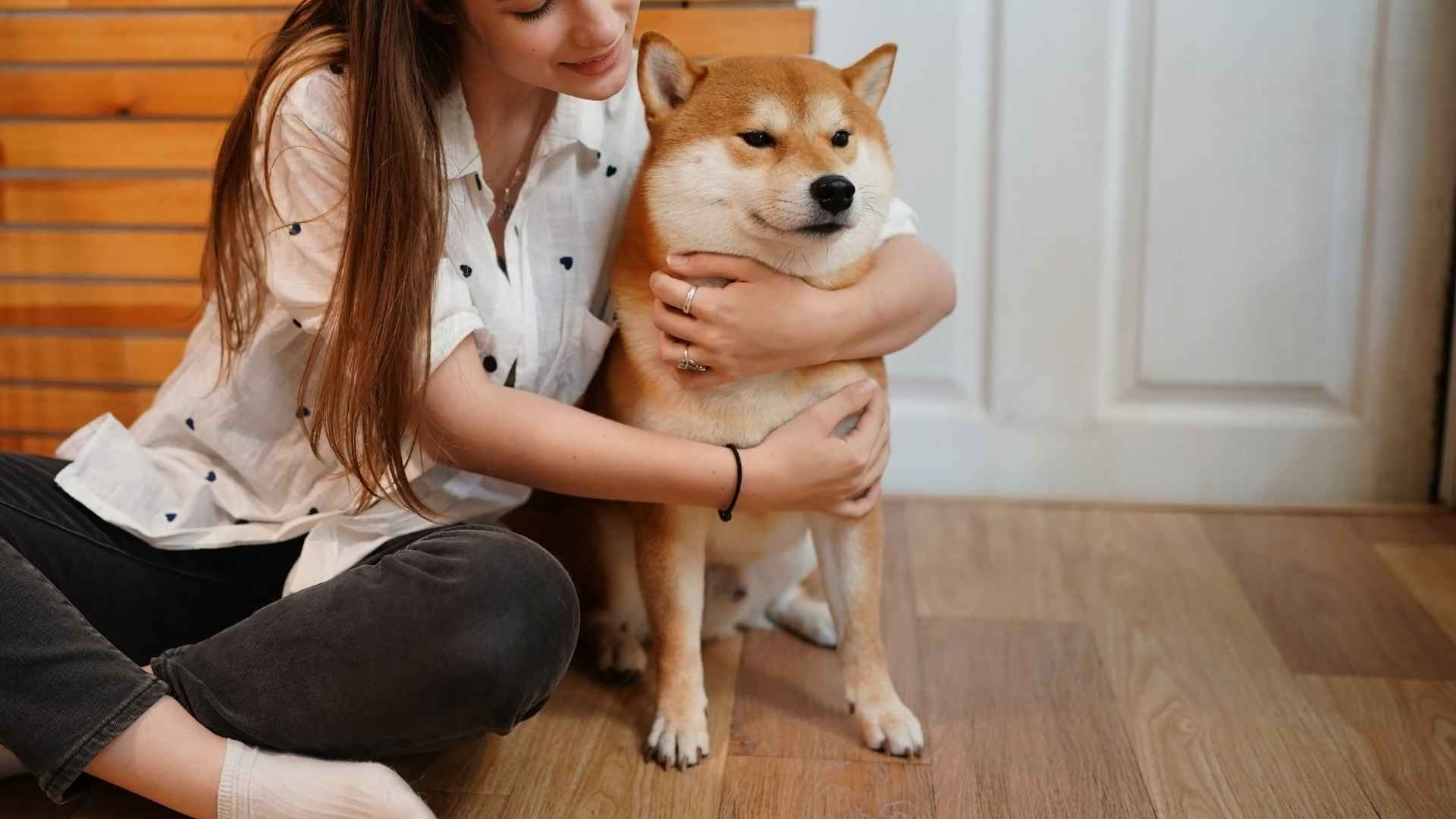 9 Loyal Dog Breeds That Are True Best Friends