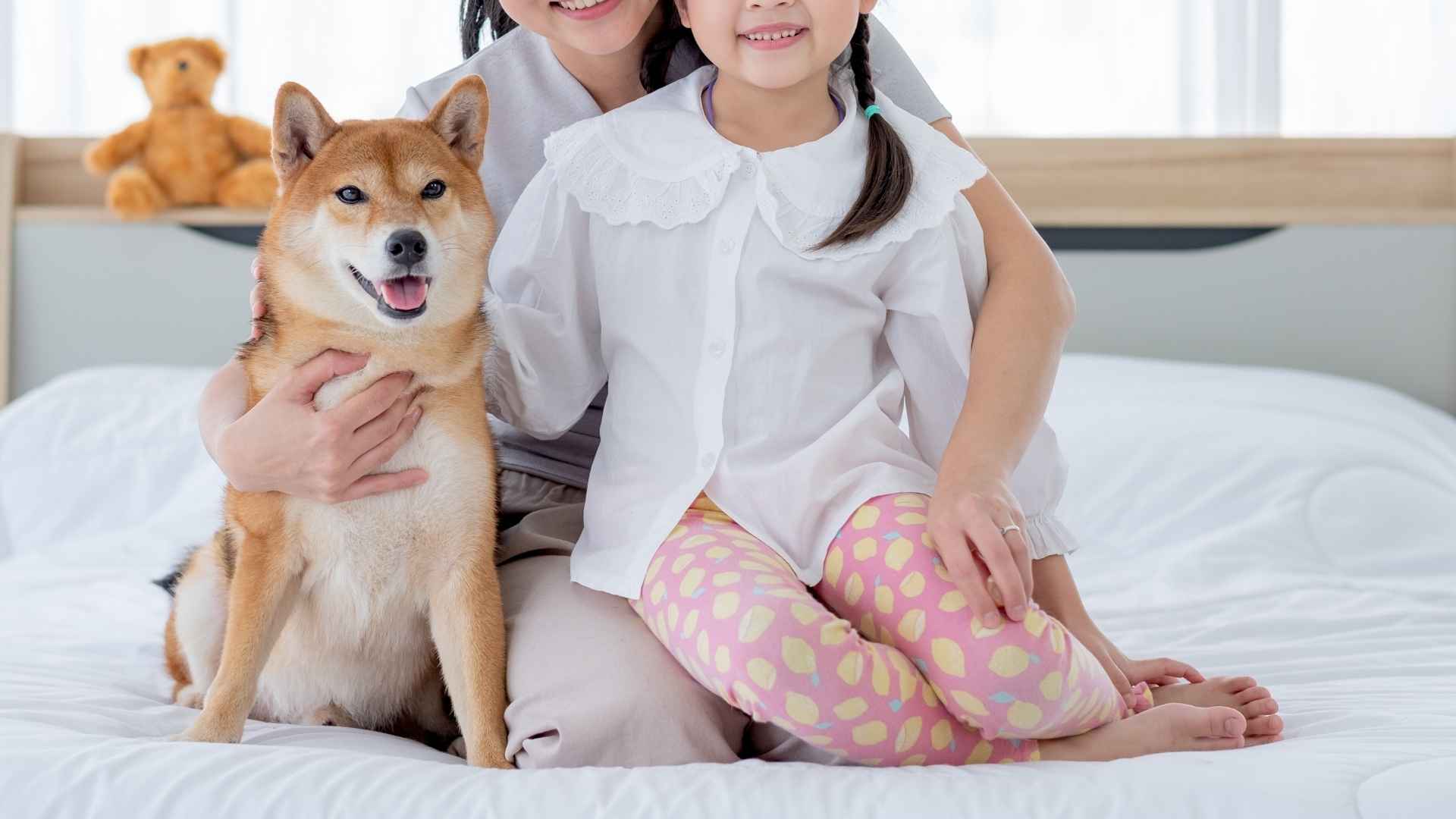 9 Loyal Dog Breeds Whose Hearts Beat For Their Families