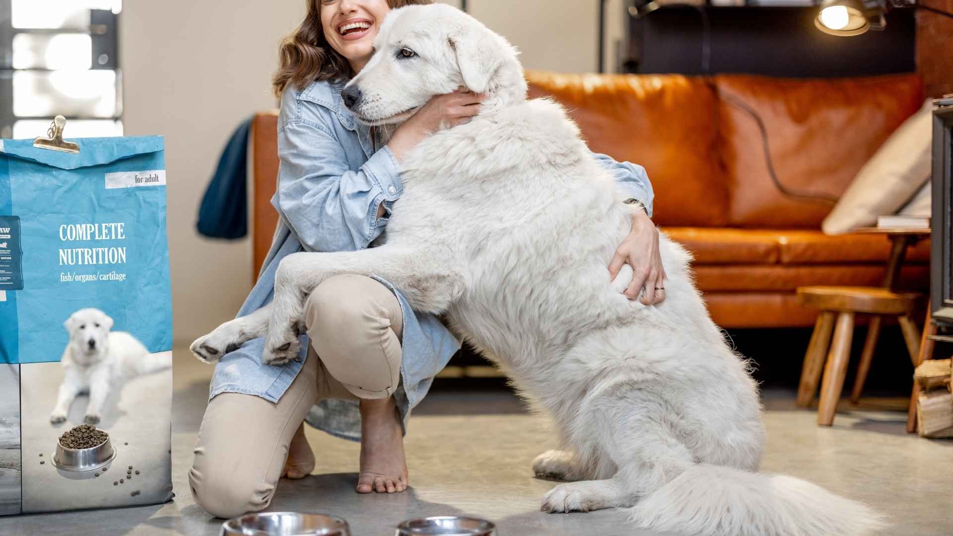 9 Most Dependable Dog Breeds That Are Always There for You