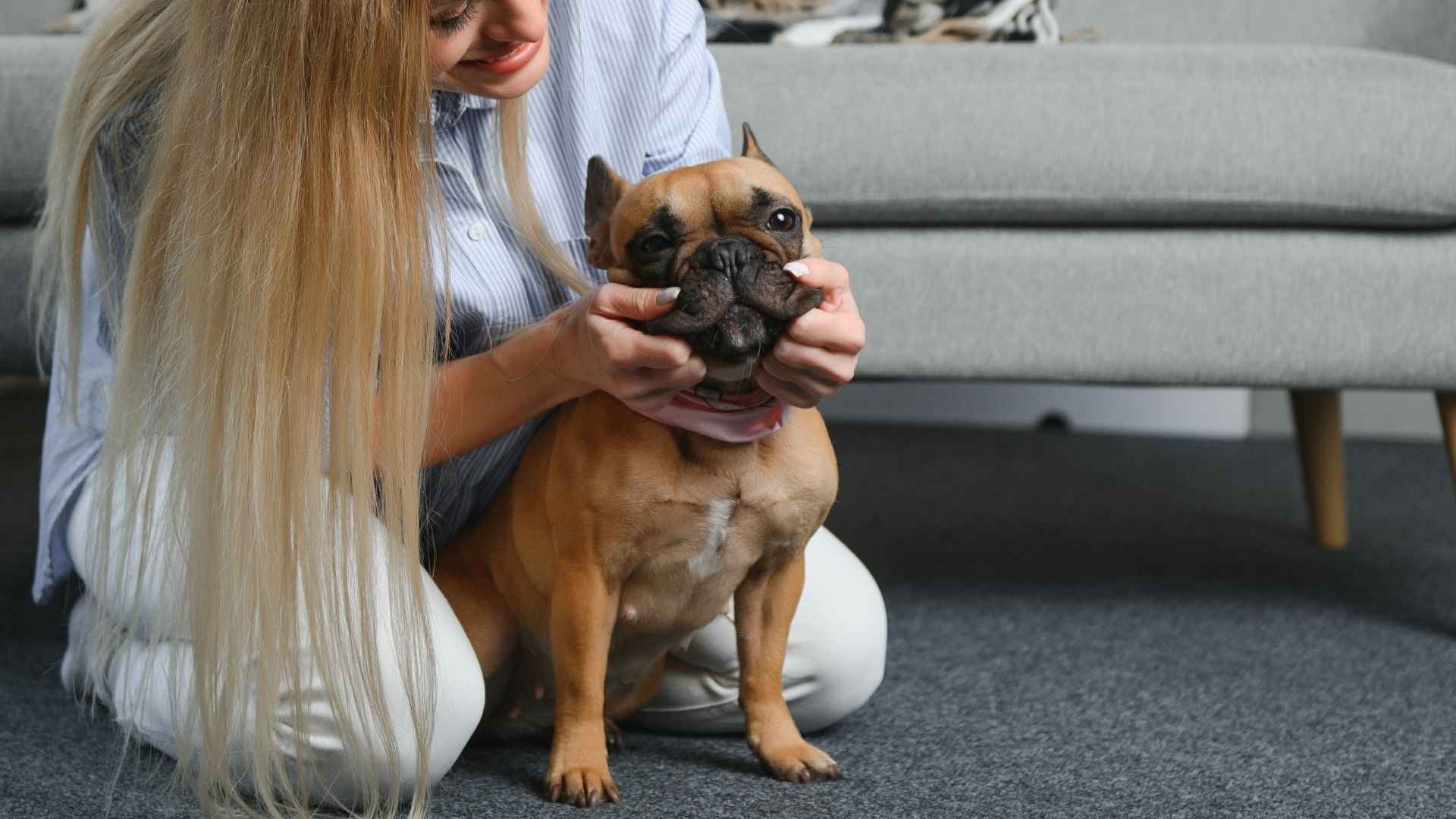 9 Quiet Dog Breeds That Make the Softest Companions
