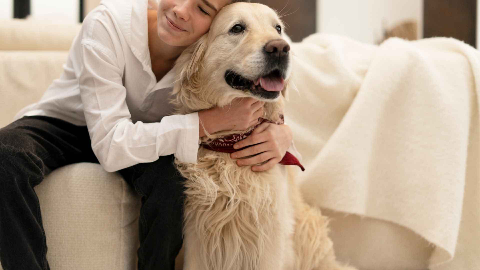 9 Sensitive Dog Breeds That Feel With You