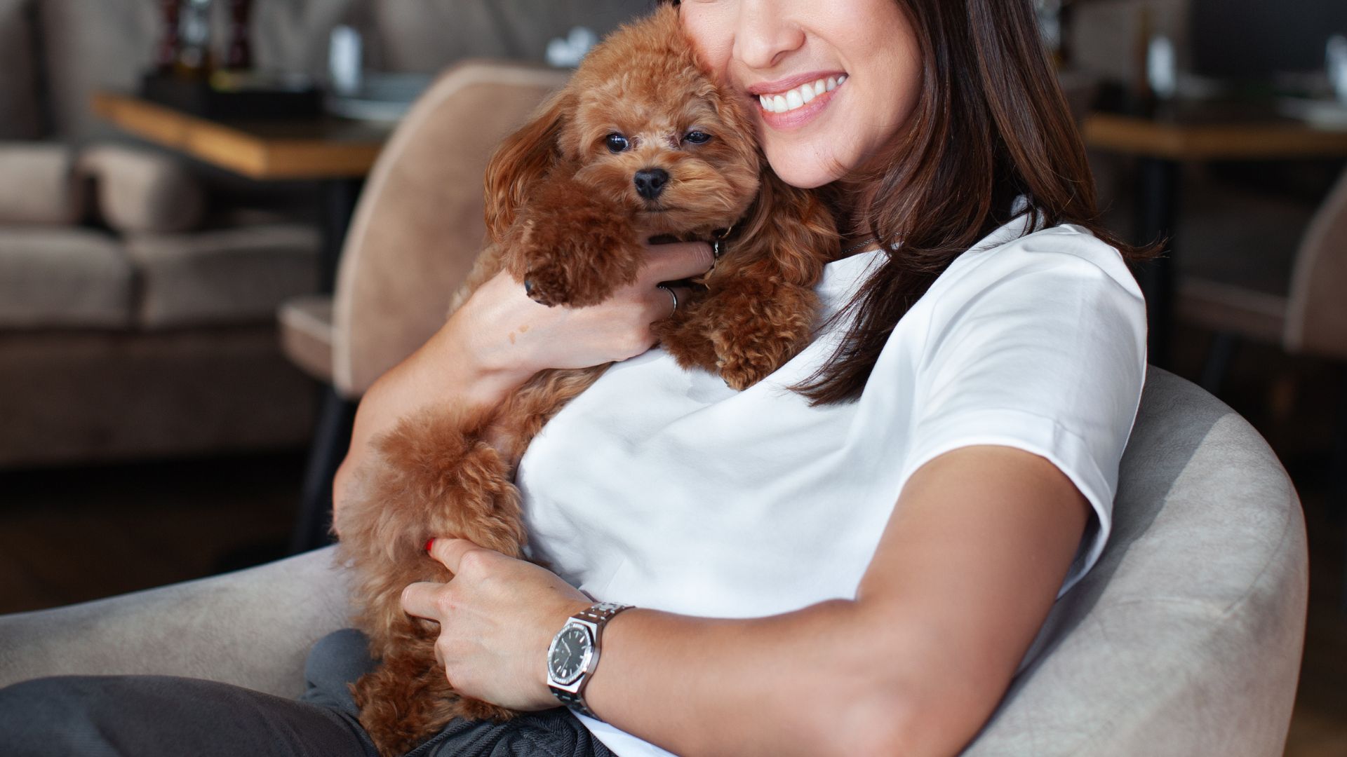 9 Sweetest Toy Dog Breeds Good For First-Time Owners