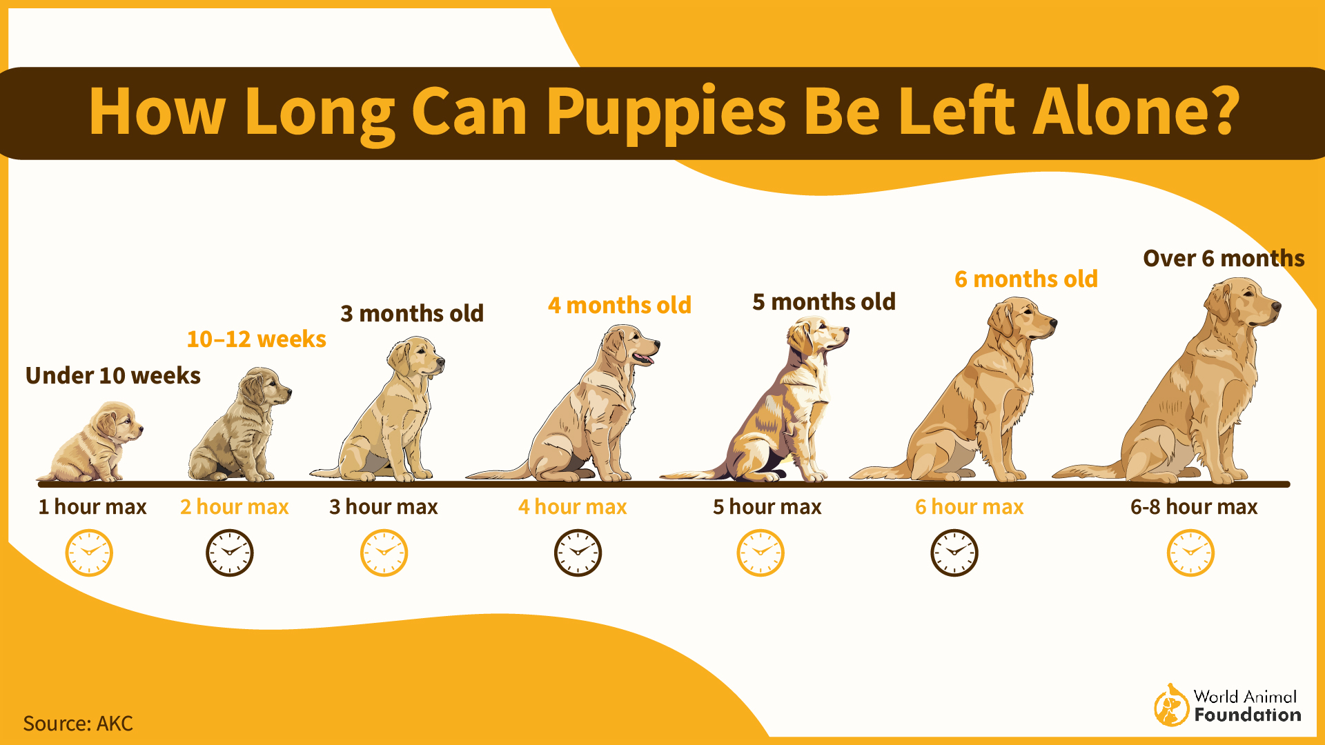 7 Dog Breeds You Can Leave At Home Safely, Day After Day