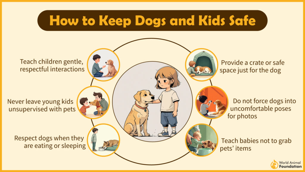 How to keep dogs and kids safe-01