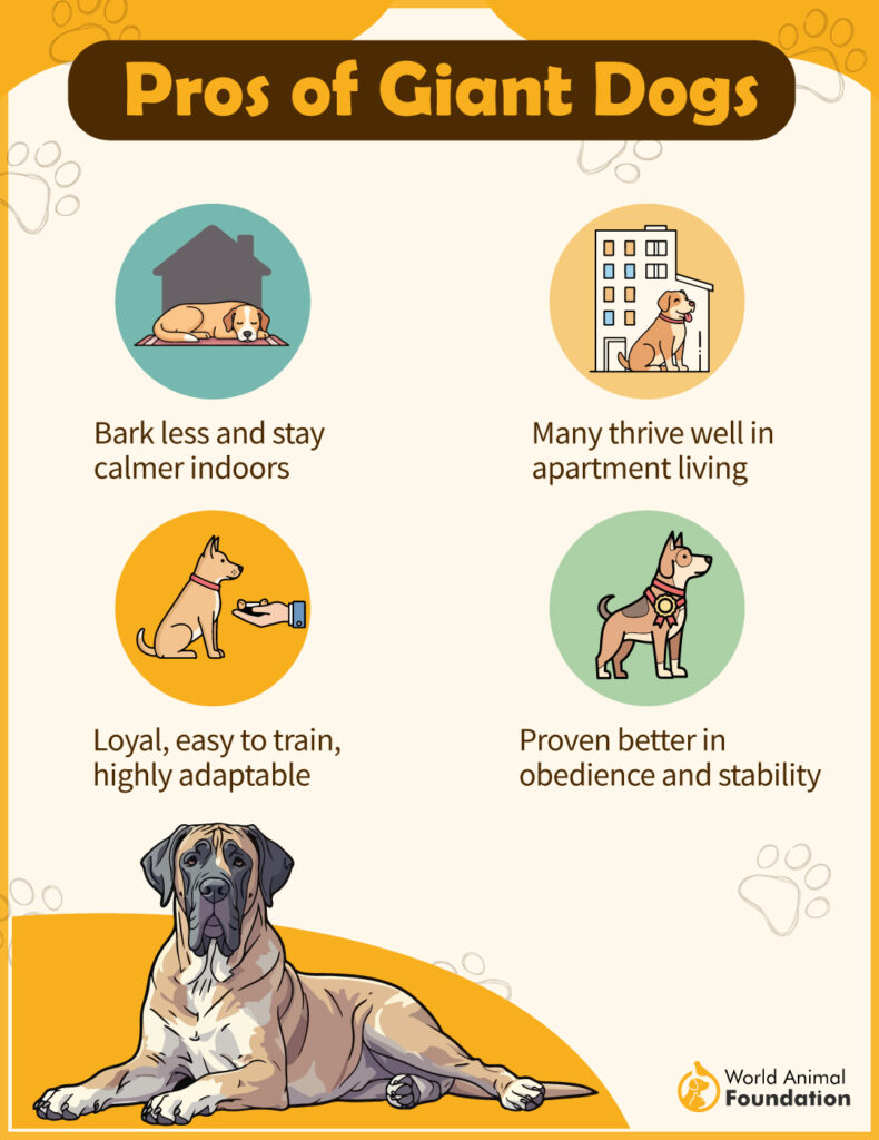 Pros of Giant Dog