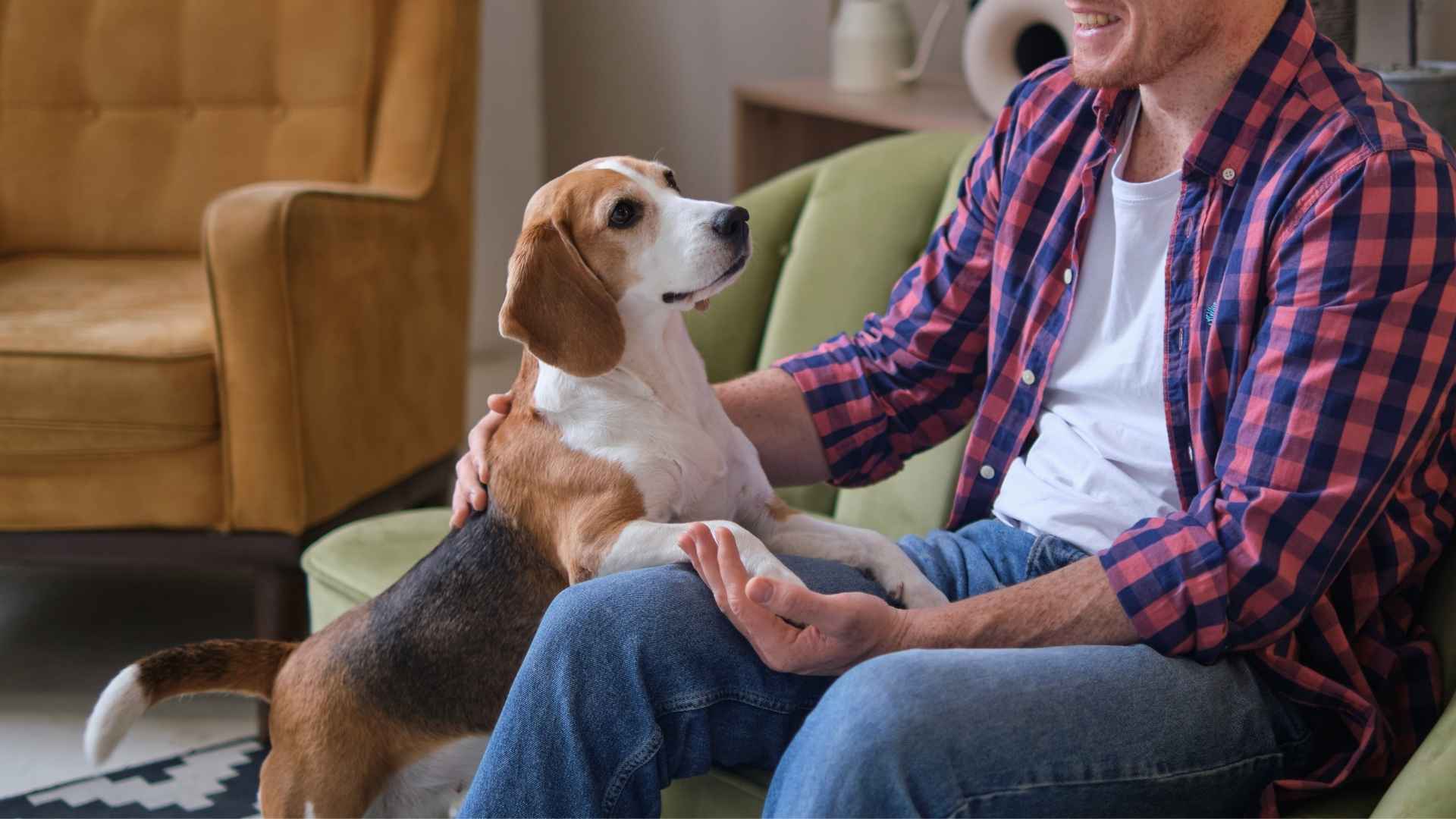 Top 10 Best Loyal Dog Breeds That Will Never Let You Go