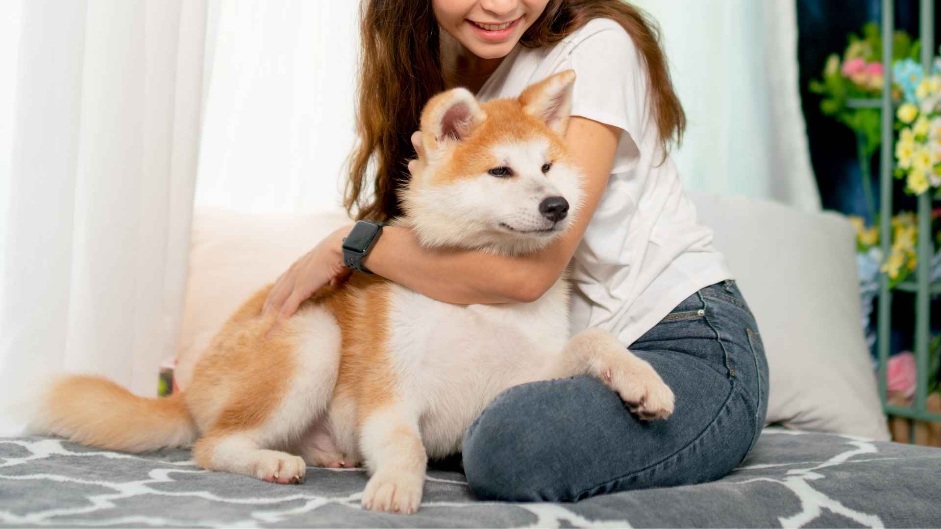 Top 7 Best Loyal Dog Breeds For Long Distance Relationships