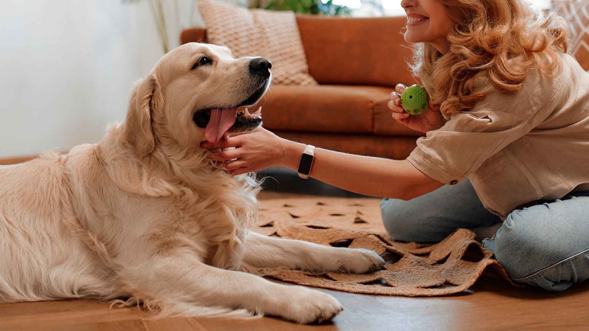 Top 7 Dog Breeds That Feel Like They’ve Known You Forever