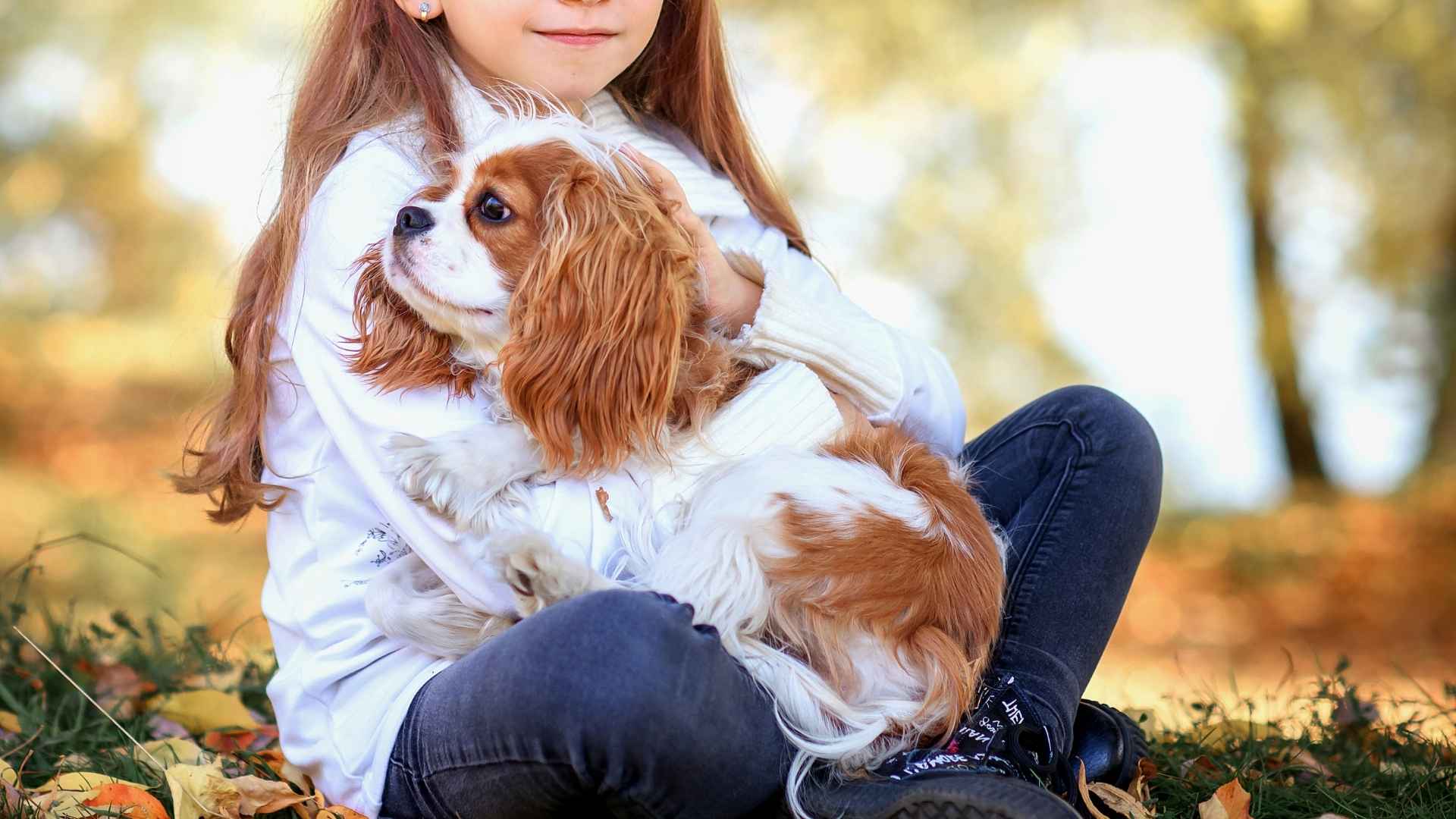 Top 7 Dog Breeds That Taught Kids About Loyalty Before They Learned to Spell It