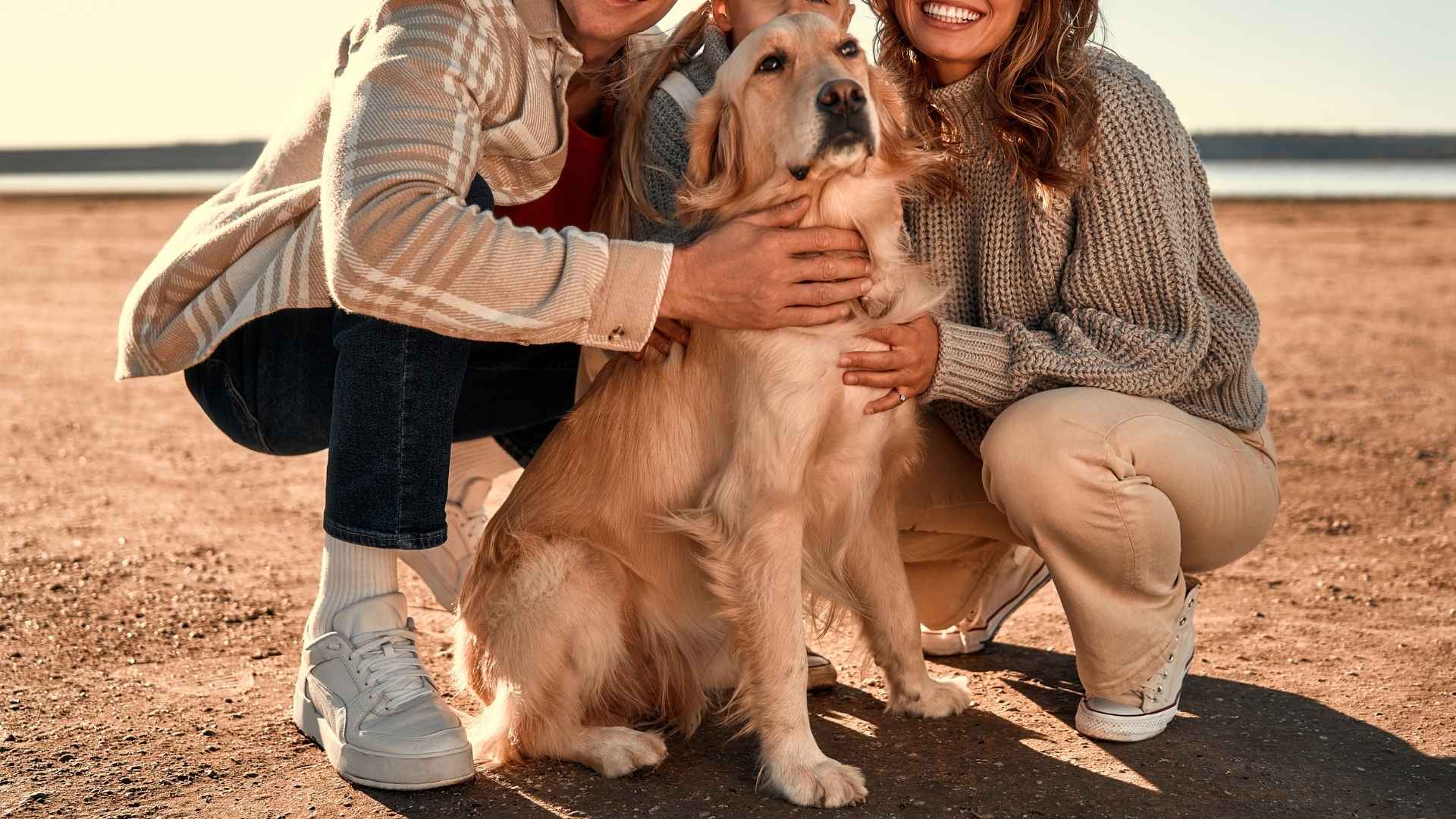 Top 7 Dog Breeds That Will Always Be the Heart of Your Family
