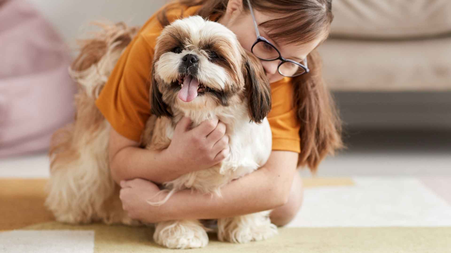 Top Dog Breeds That Prove True Love Exists In Four Paws: 9 Best Picks