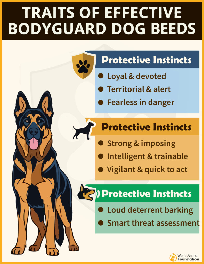 traits of effective bodyguard dog breed
