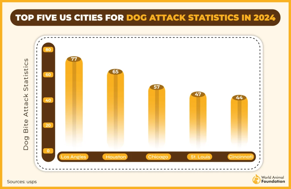 top five US cities for dog attacks tatistics in 2024