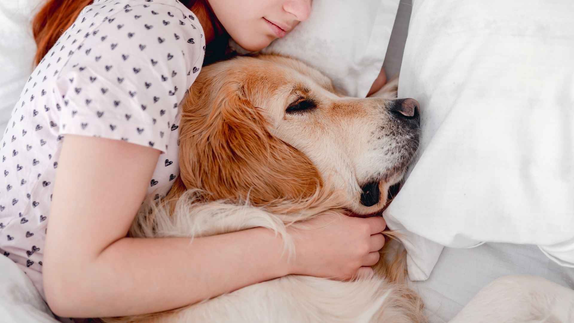 10 Best Sleepy Dog Breeds to Help You Rest
