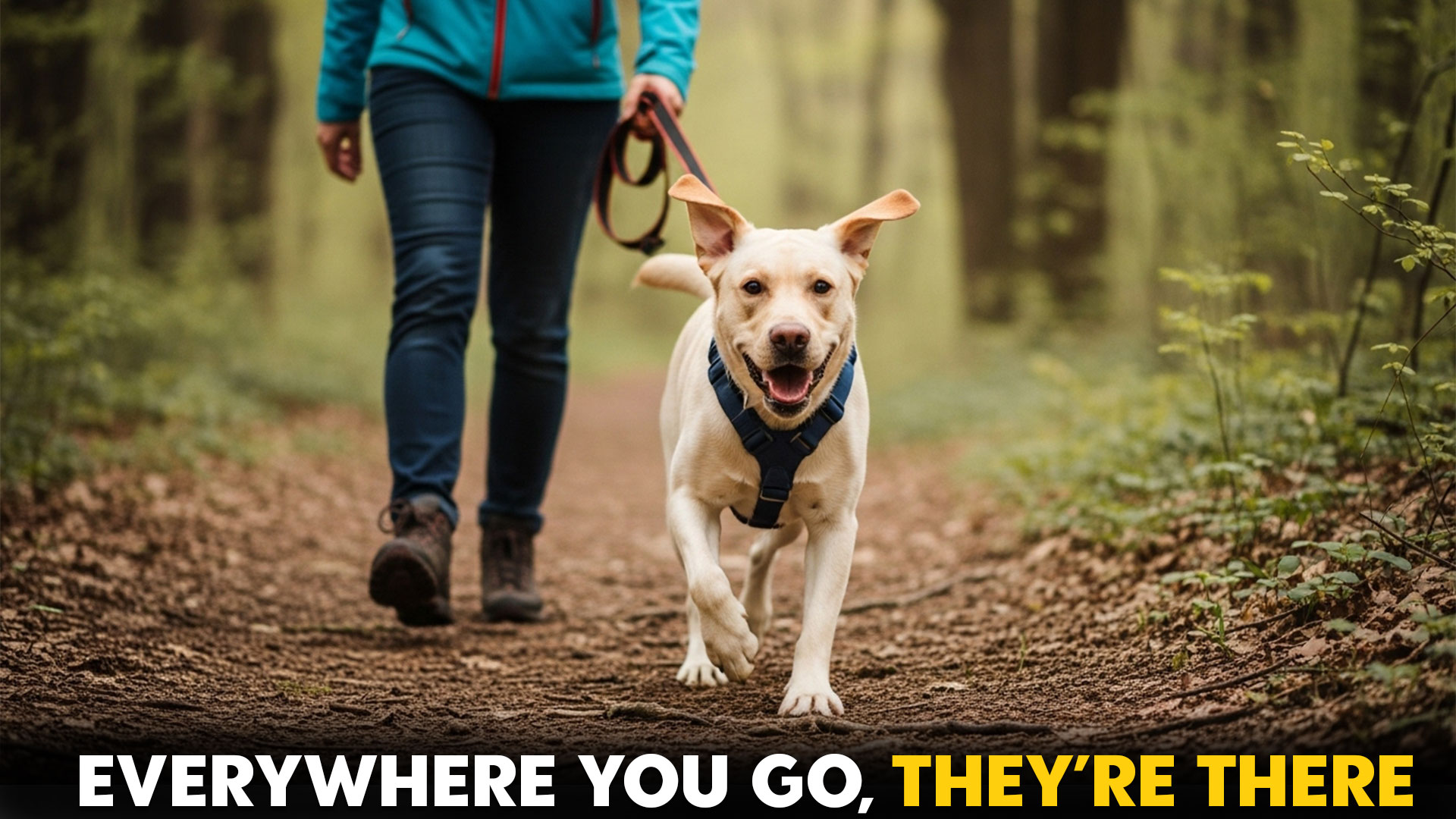 10-Dog-Breeds-That-Are-Everywhere-Find-Your-Perfect-Companion