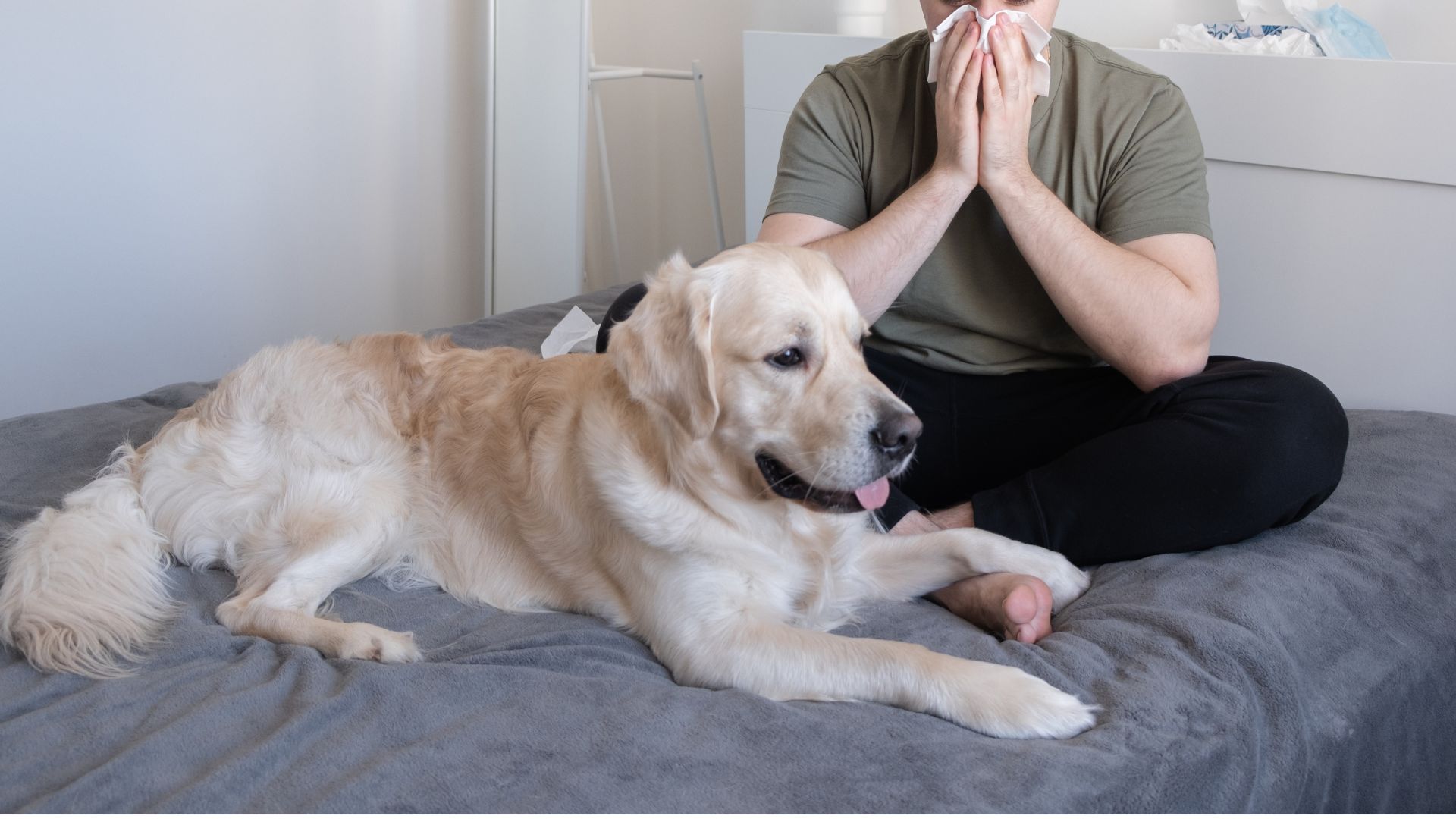 10 Dog Breeds to Avoid if You’re Health-Conscious