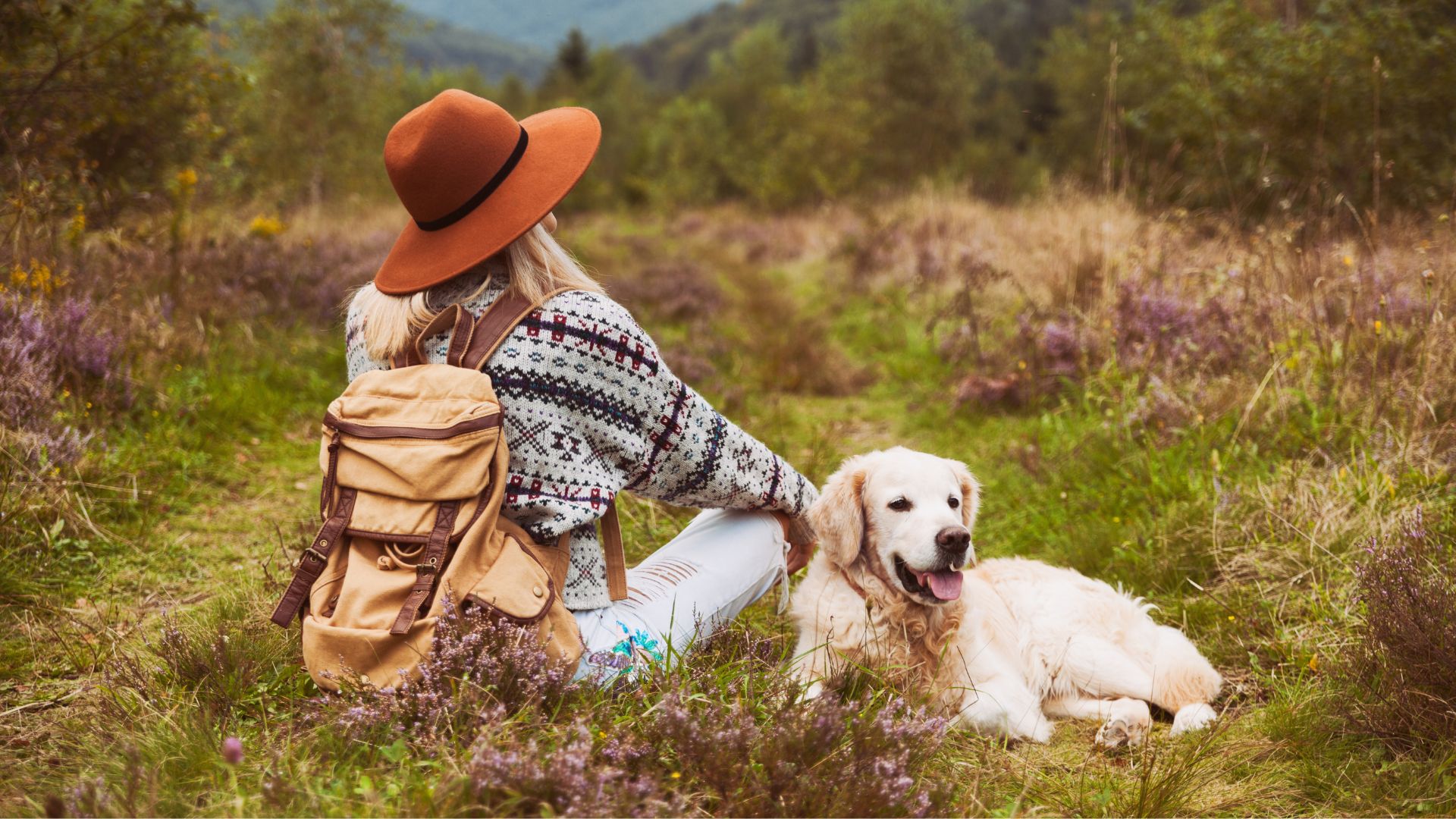 7 Best Dog Breeds For Frequent Travellers