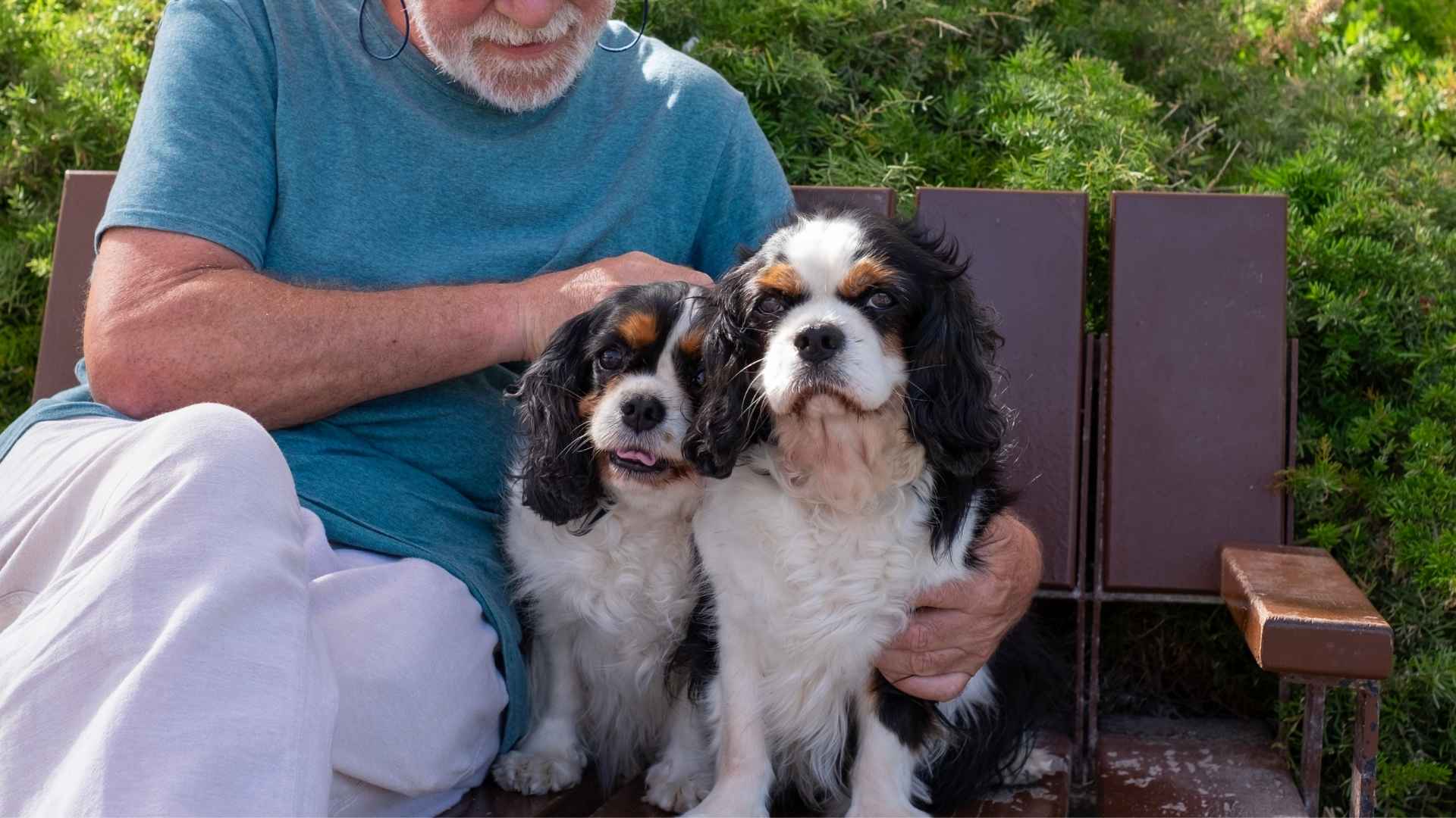 7 Best Dog Breeds For People Over 60 To Enjoy Golden Years
