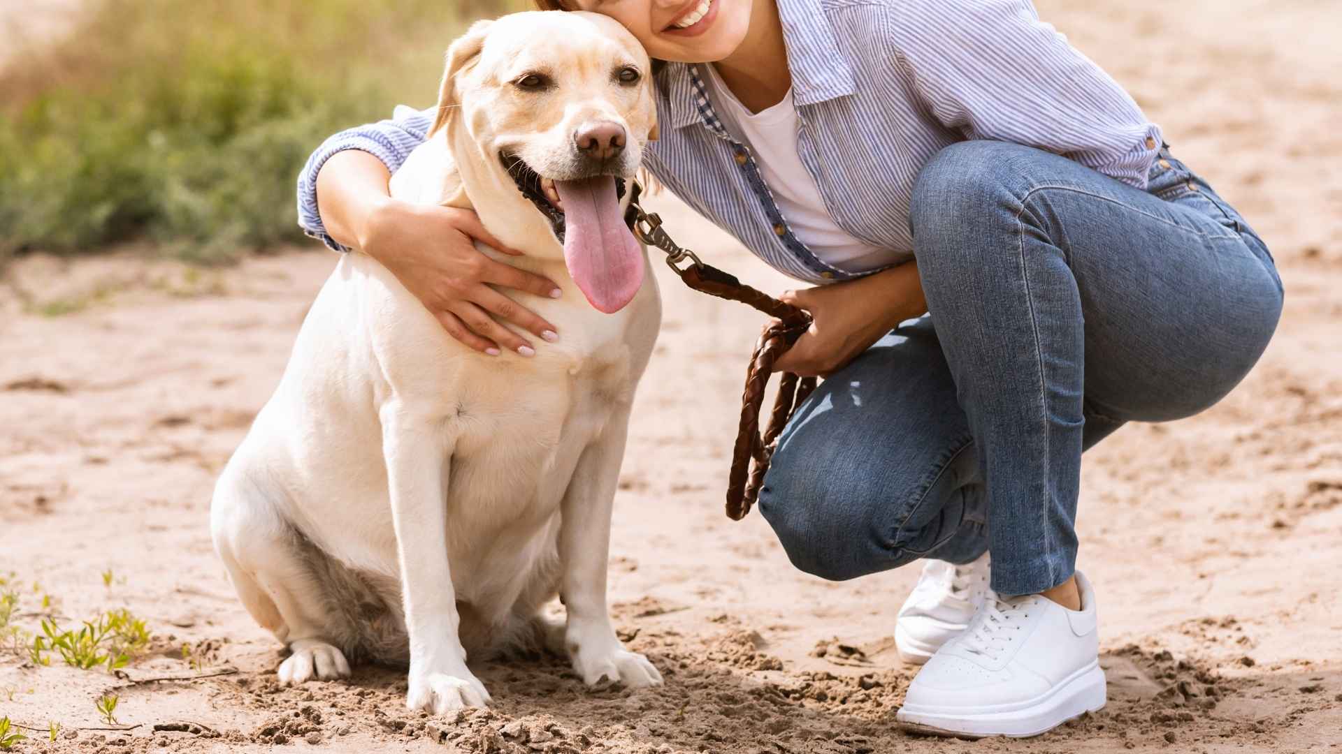 7 Best Dog Breeds For Those Seeking Devotion