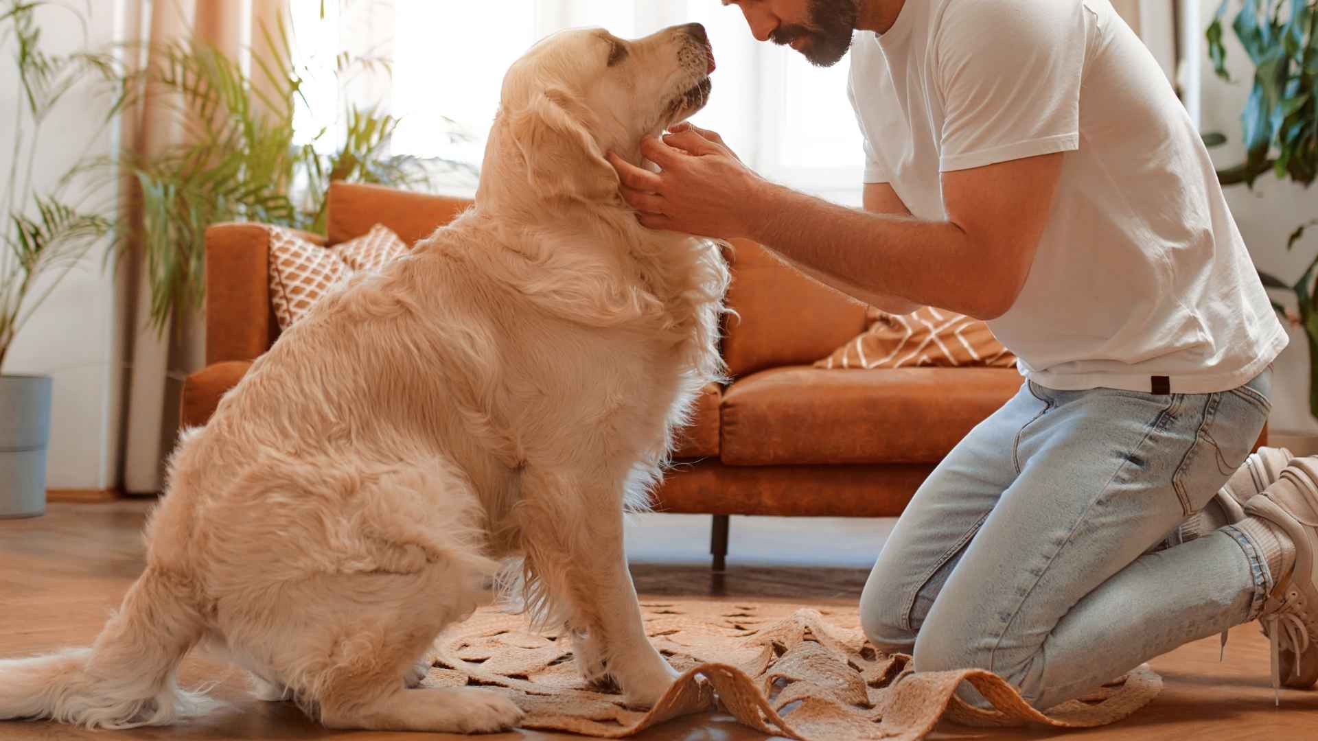 7 Best Dog Breeds With Strong Emotional Ties