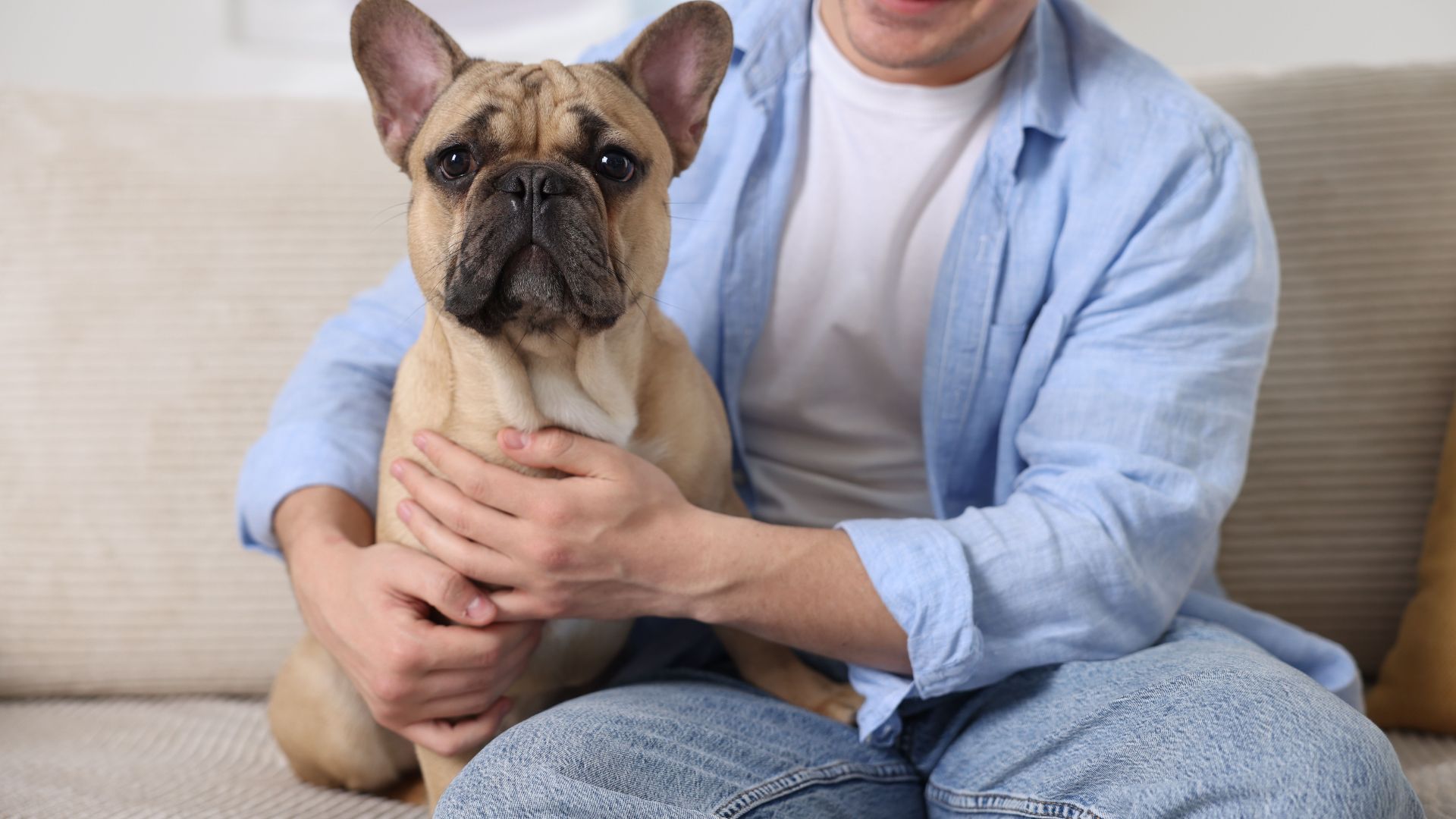 7 Best Dog Breeds for Single Men