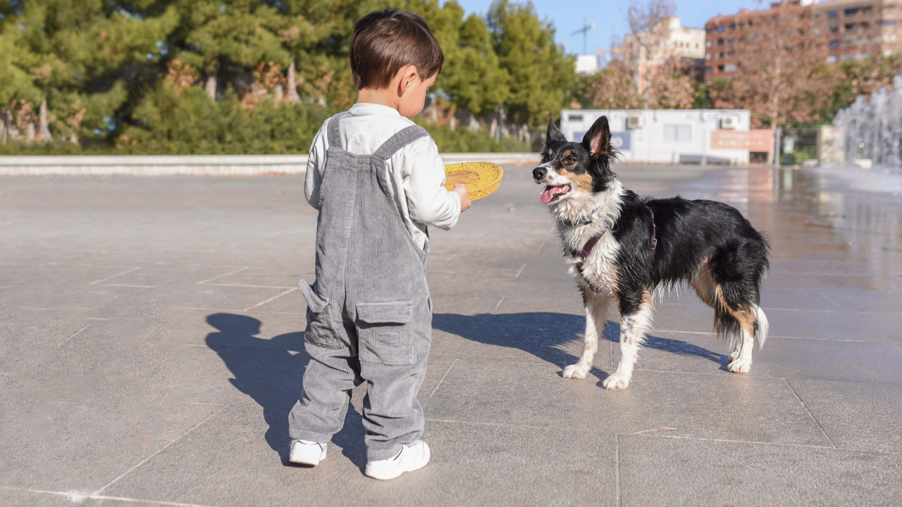 7 Dog Breeds That Sit Beside Kids in Parks for Safety