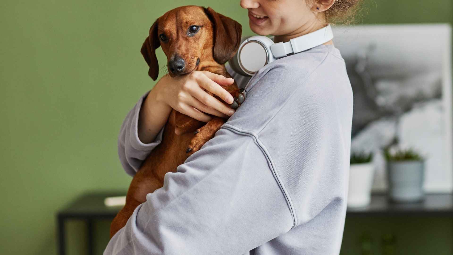 7 Dog Breeds That Turn a House into a Home Instantly