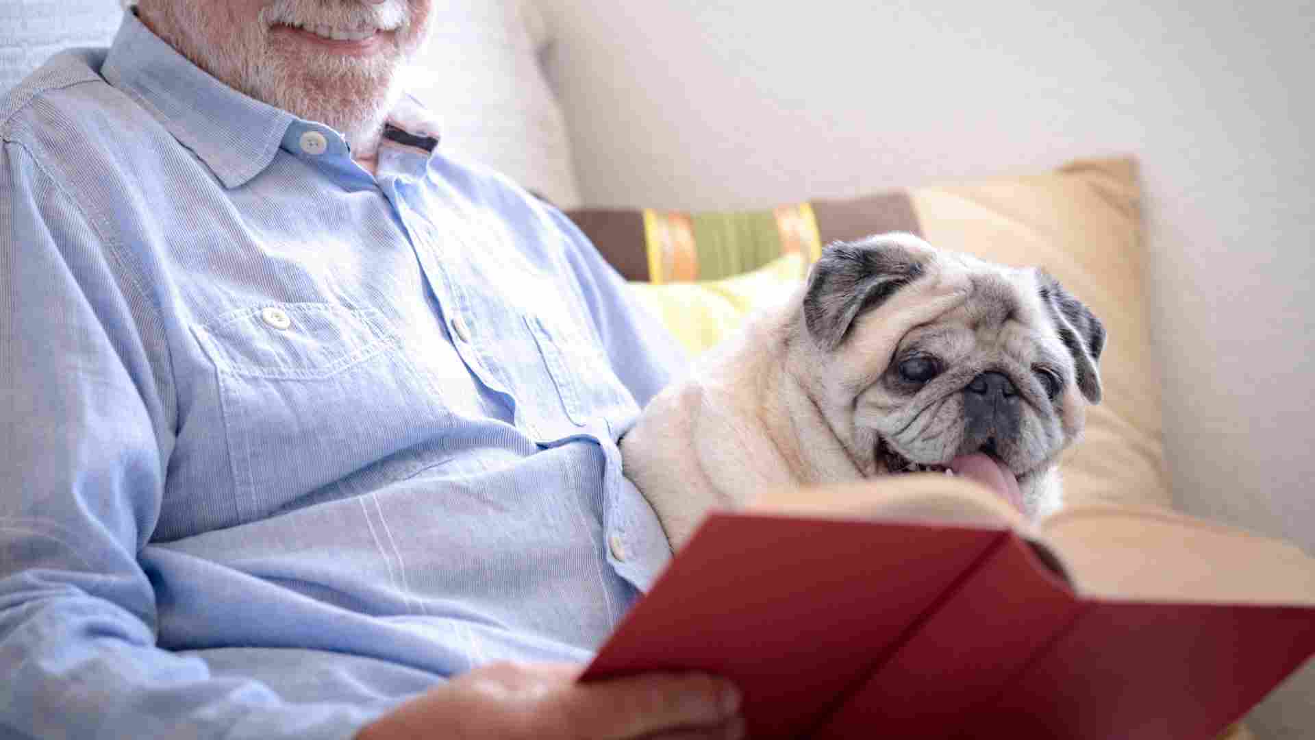 7 Easygoing Dog Breeds Perfect For Senior Citizens