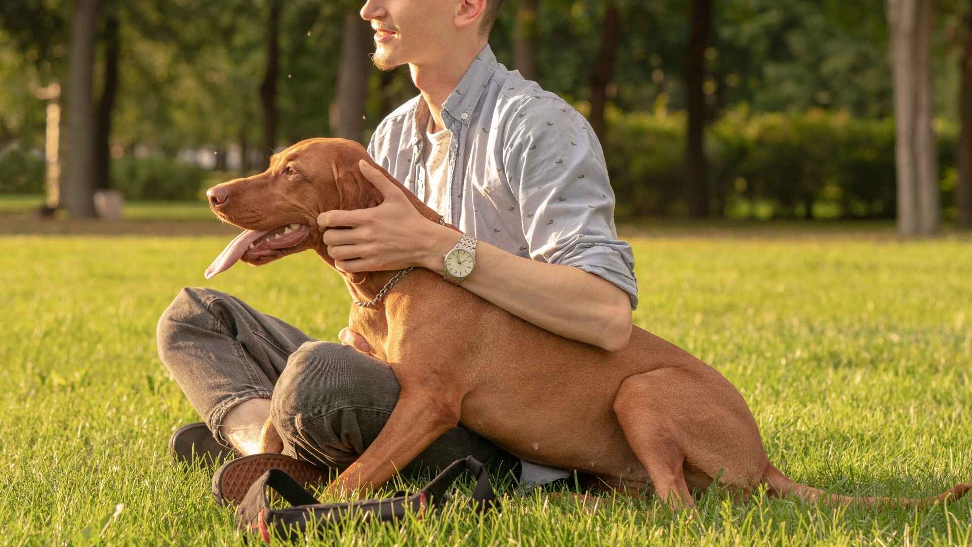 7 Popular Dog Breeds With Unbreakable Bonds