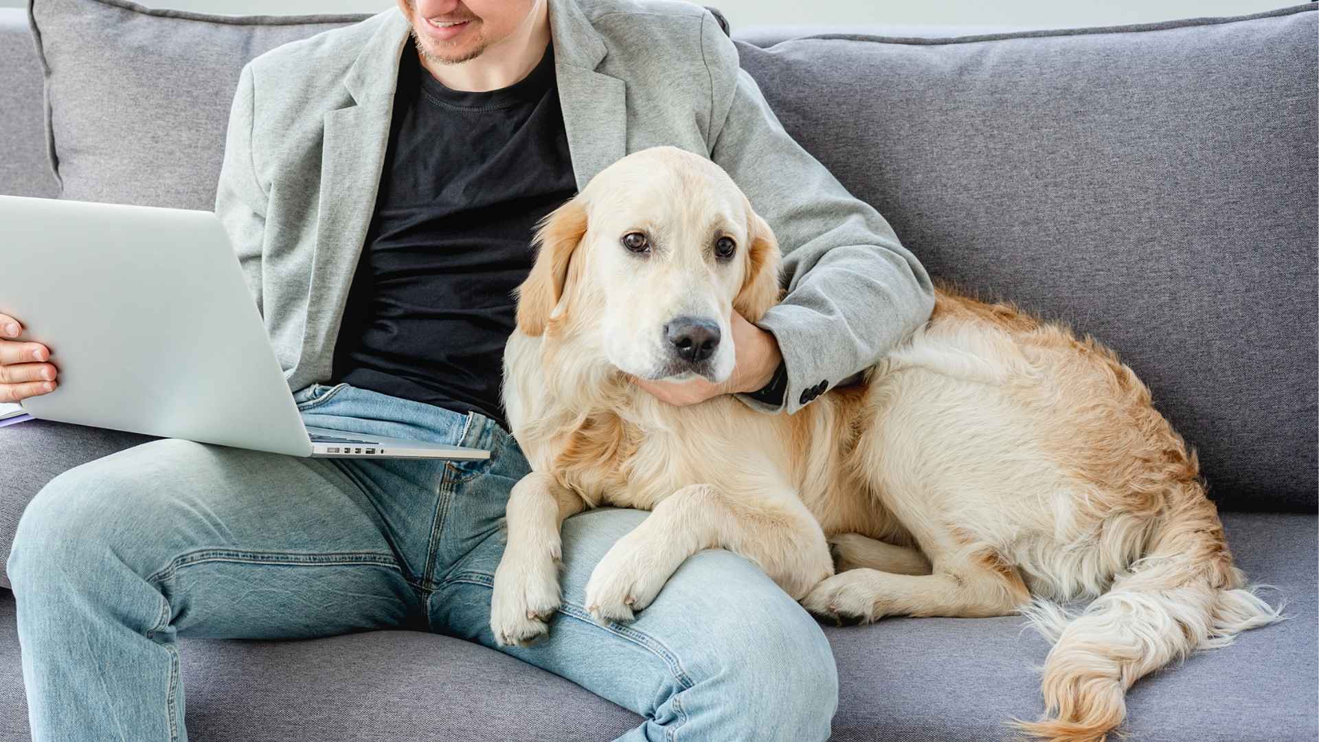 7 Superior Loyal Dog Breeds Favored Among Professionals