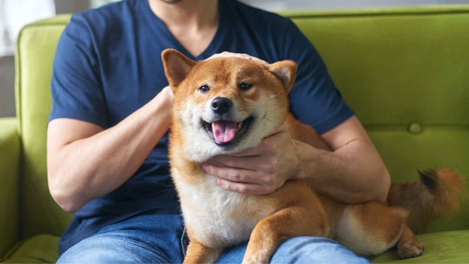 8 Best Dog Breeds For Strengthening Bonds